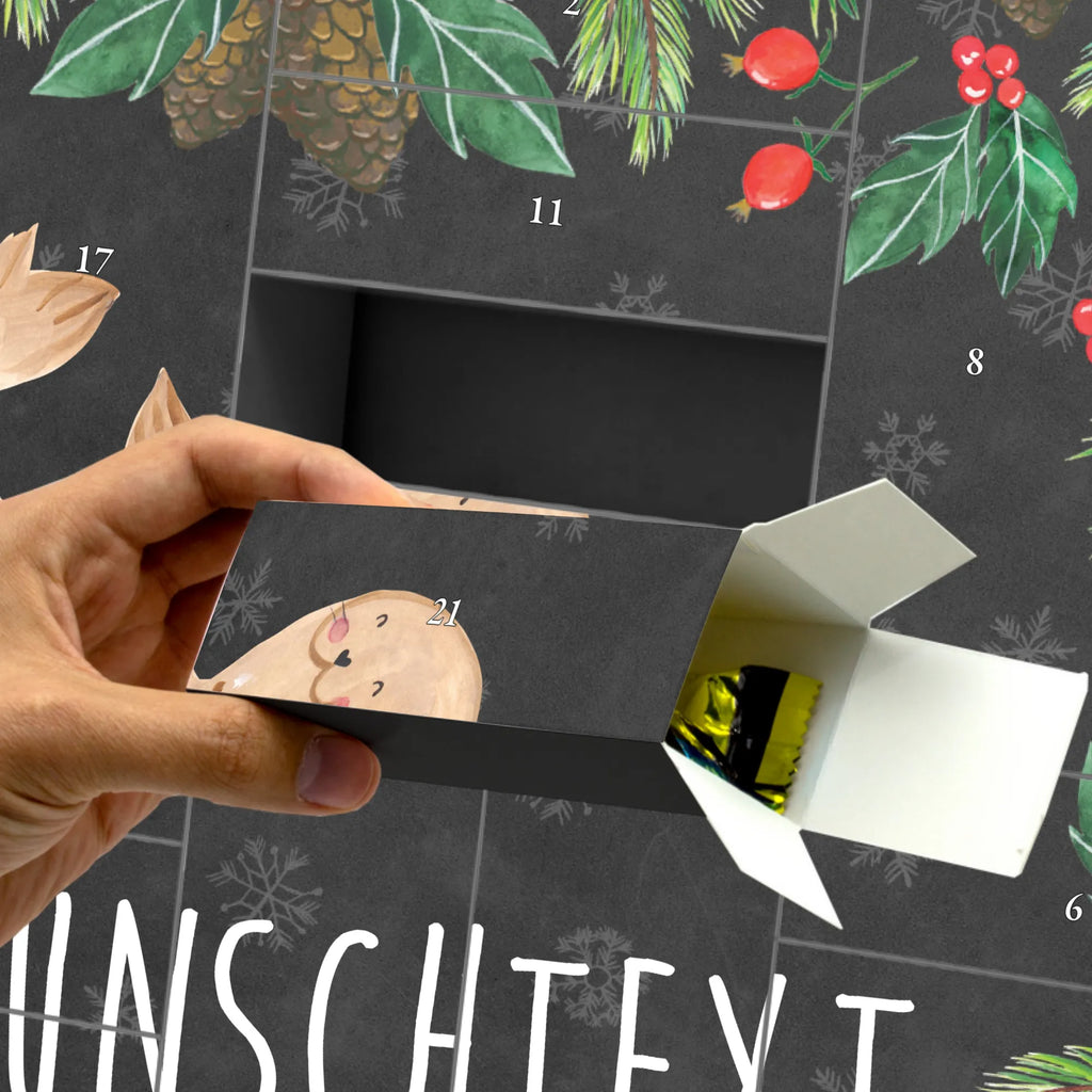 Personalisierter Befüllbarer Adventskalender Robbe Liegen Befüllbarer Adventskalender, Adventskalender Zum Selbst Befüllen, Tiermotive, Tiere, Gute Laune, Lustige Sprüche, Ostsee, Robben, Meerestier, Freude, Lachen, Seehund, Strand, Nordsee, Robbe
