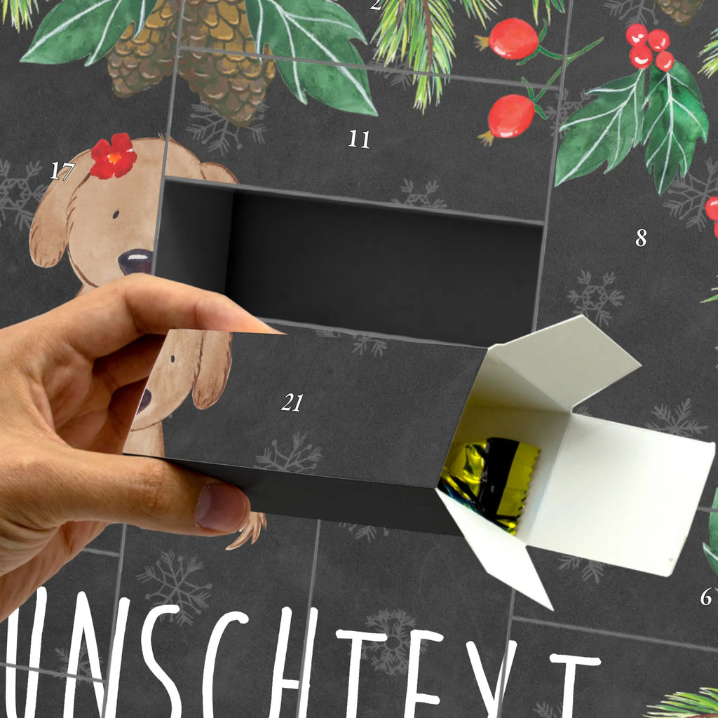  pies Dama Pies, właściciel psa, rasa psa, miłośnik zwierząt, zwierzę domowe, motyw psa, powiedzenia