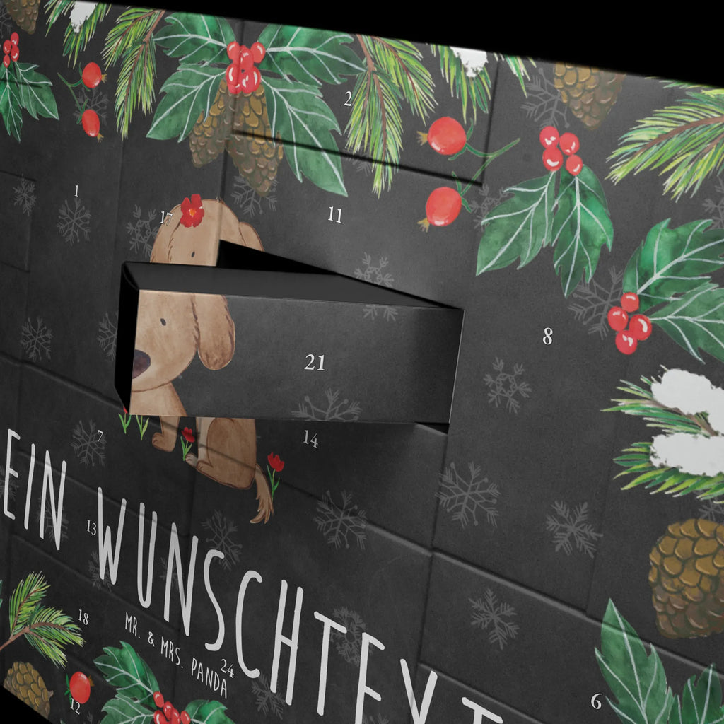  pies Dama Pies, właściciel psa, rasa psa, miłośnik zwierząt, zwierzę domowe, motyw psa, powiedzenia