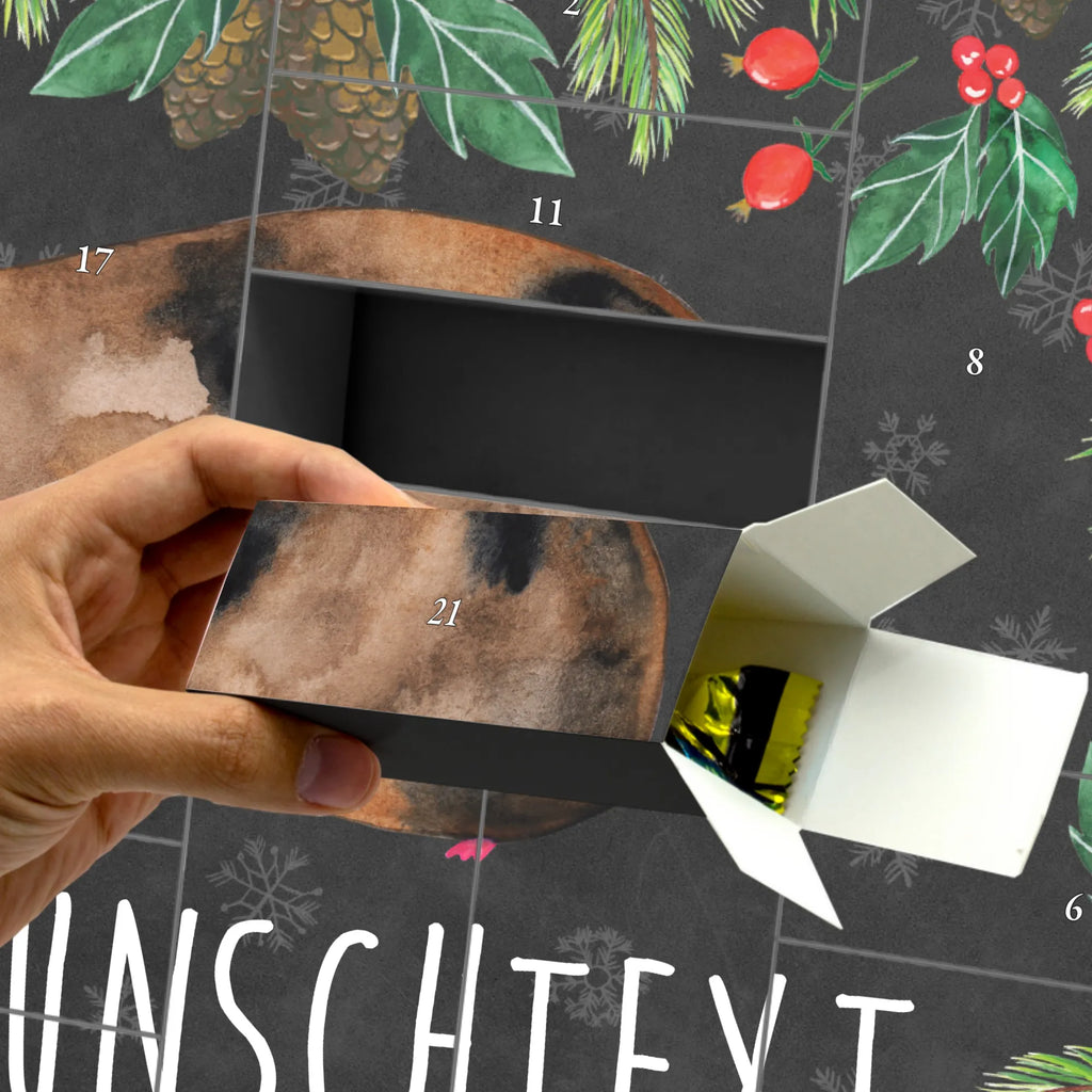  unicorn Guinea pig squirrels, guinea pig