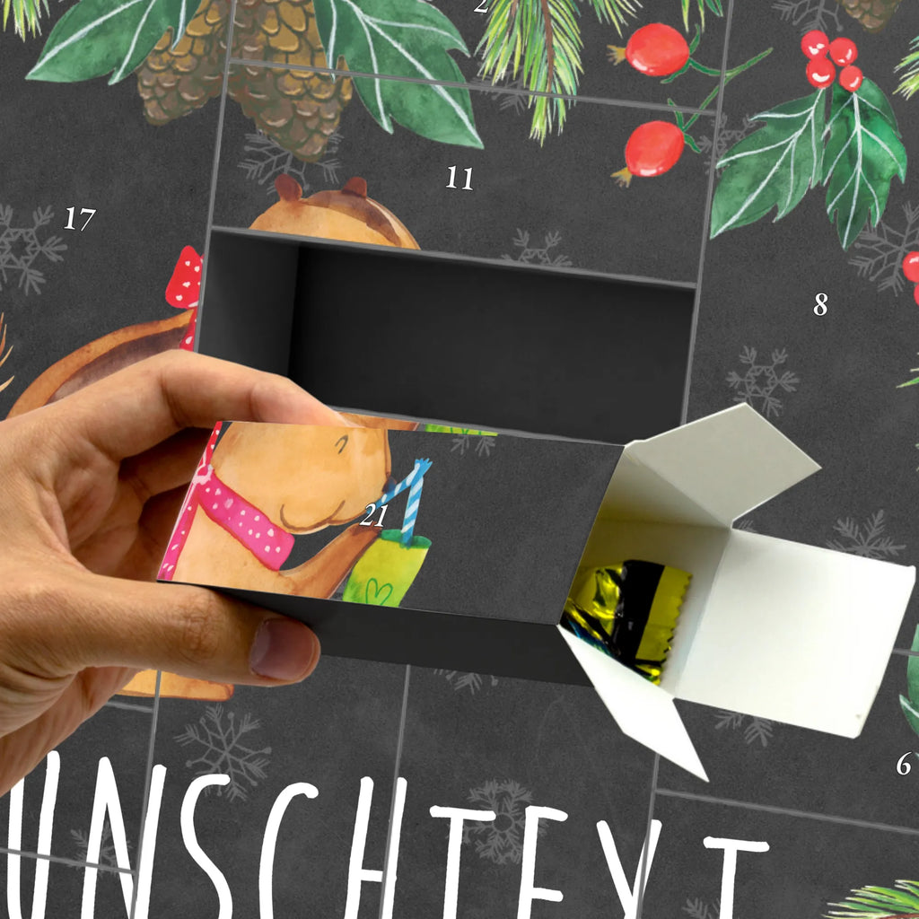 Personalisierter Befüllbarer Adventskalender Eichhörnchen Smoothie Adventskalender Zum Selbst Befüllen, Befüllbarer Adventskalender, Tiermotive, Tiere, Gute Laune, Lustige Sprüche, Abnehmen, Streifenhörnchen, Green Smoothies, Diät, Eichhörnchen