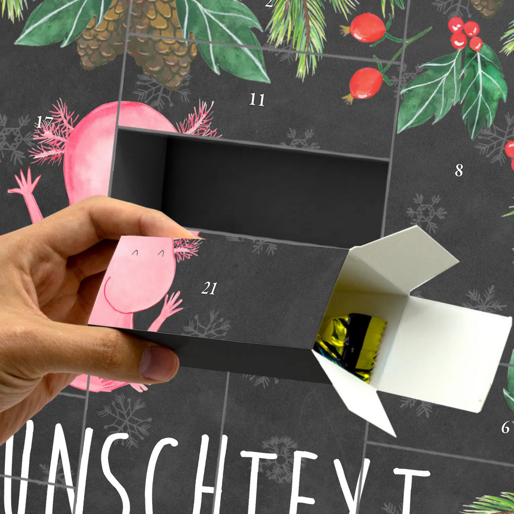  axolotl Hooray salamander, Axelotl, marine animals, Mexican walking fish, cheerful, joy, fun, tail, amphibian, satisfaction