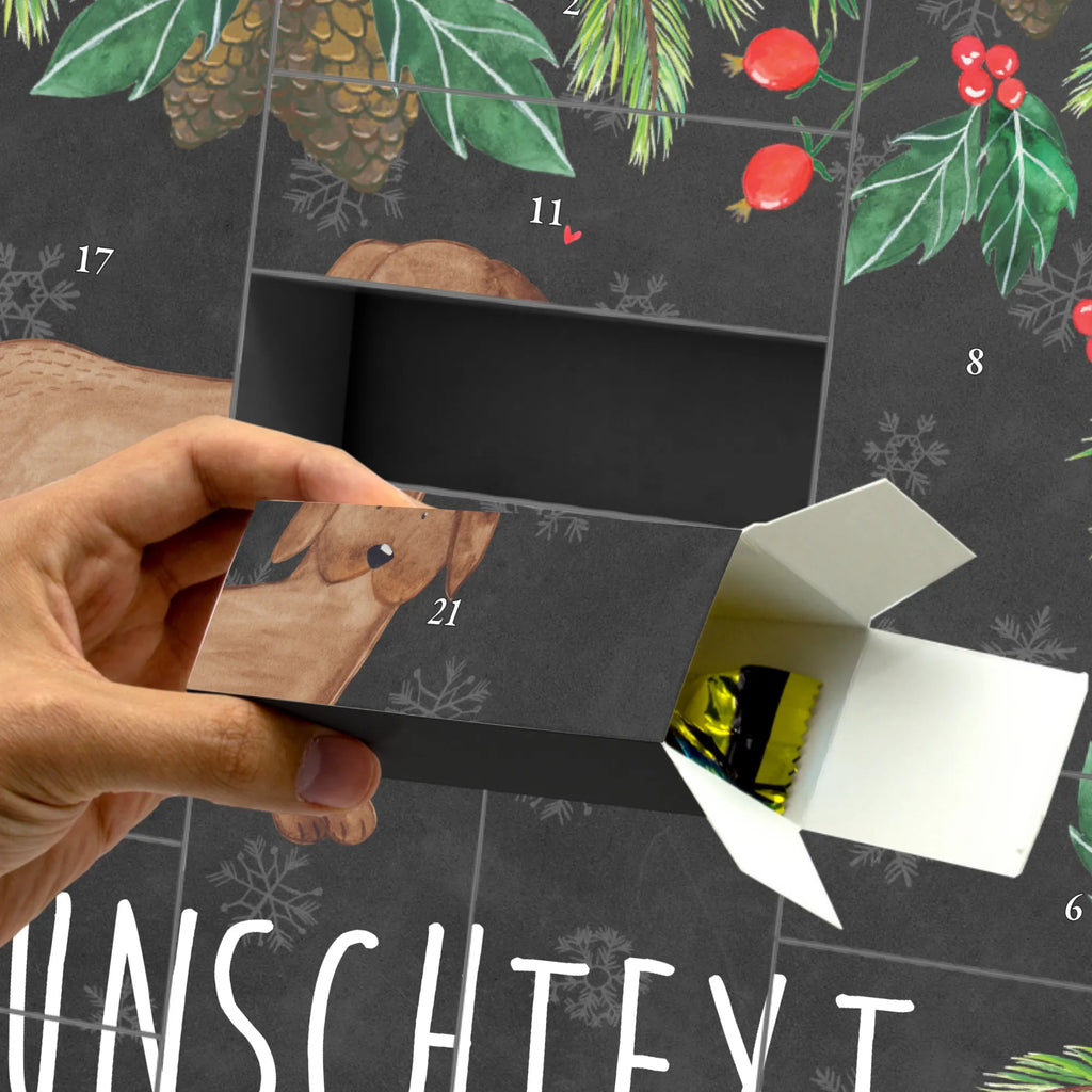  pies Dog niemiecki Pies, właściciel psa, rasa psa, miłośnik zwierząt, zwierzę domowe, motyw psa, powiedzenia