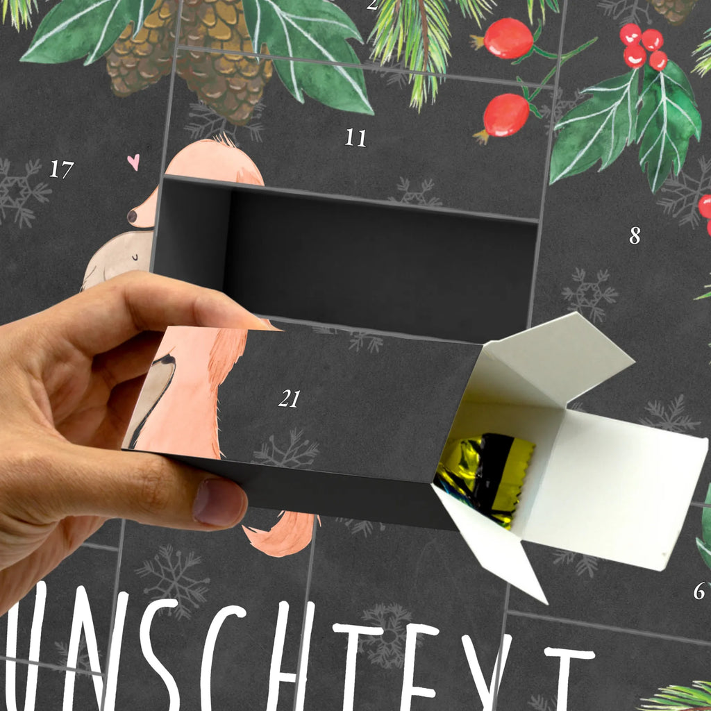  psy Miłość Pies, właściciel psa, rasa psa, miłośnik zwierząt, zwierzę domowe, motyw psa, powiedzenia