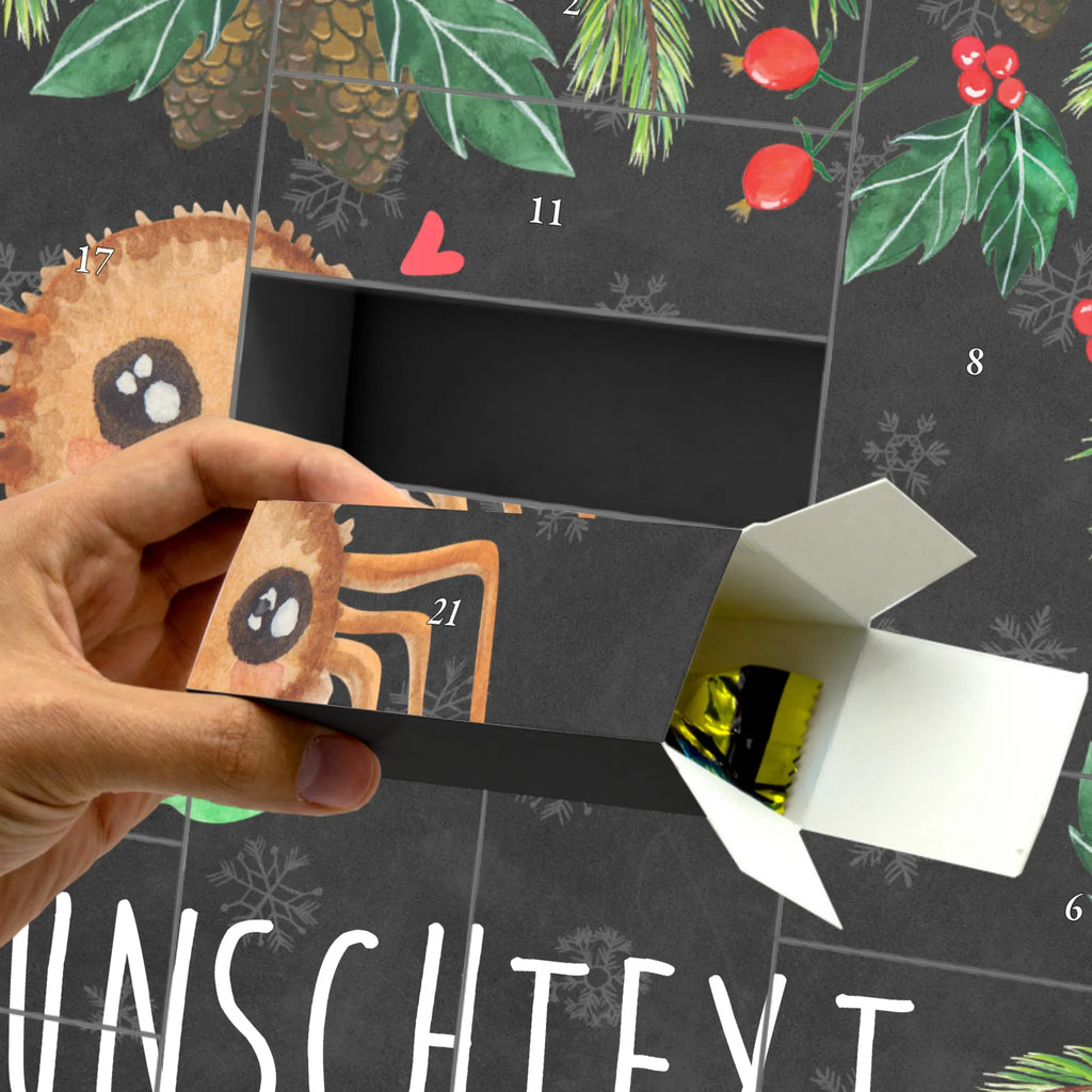 Personalisierter Befüllbarer Adventskalender Spinne Agathe Sandwich Adventskalender Zum Selbst Befüllen, Befüllbarer Adventskalender, Spinne Agathe, Spinne, Merchandise, Agathe, Videos, Lebensfreude, Verfressen, Glück, Alles Wird gut, Mut, Hunger, Hungrig