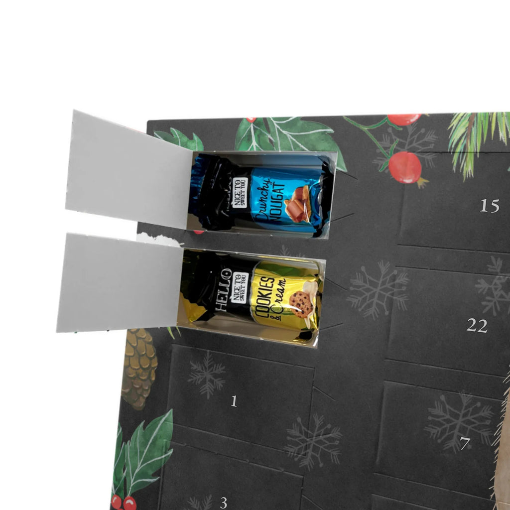 Weihnachts Kalender Murmeltier süßigkeiten adventskalender, Weihnachtskalender Schokolade, schokoladenkalender, pralinen adventskalender, schokoladen kalender, Adventskalender, adventskalender pralinen, adventskalender schoko, Schokoladen-Adventskalender, Weihnachtskalender, schoko weihnachtskalender, schoko kalender, schokokalender, kalender schokolade, Weihnachts Kalender, adventskalender süßigkeiten, Schoko-Adventskalender, Schokoladen Adventskalender, kalender weihnachten, Schoko Adventskalender, Adventskalender Schokolade, süßigkeiten kalender, weihnachtskalender schoko, schokolade adventskalender, Schokoladen-Weihnachtskalender, Weihnachten Adventskalender, Lustige Sprüche, Gute Laune, Tiermotive, Tiere, Freundlichkeit, Knigge, Fröhlichkeit, Anstand, Murmeltier, Respekt