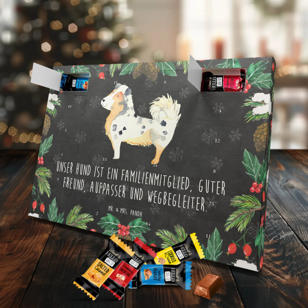 Chocolate advent calendar Dog Australia Shepherd mutt, dog sayings, love dogs, dog mama, funny gifts for dog owners, woof, what do you give a dog lover, dog breed, Christmas gifts for dogs, gifts for dogs, bag with dog print, love for dogs, hound, dog decorative items, Dog love, Australia Shepherd, Family dog, Saying, Sayings