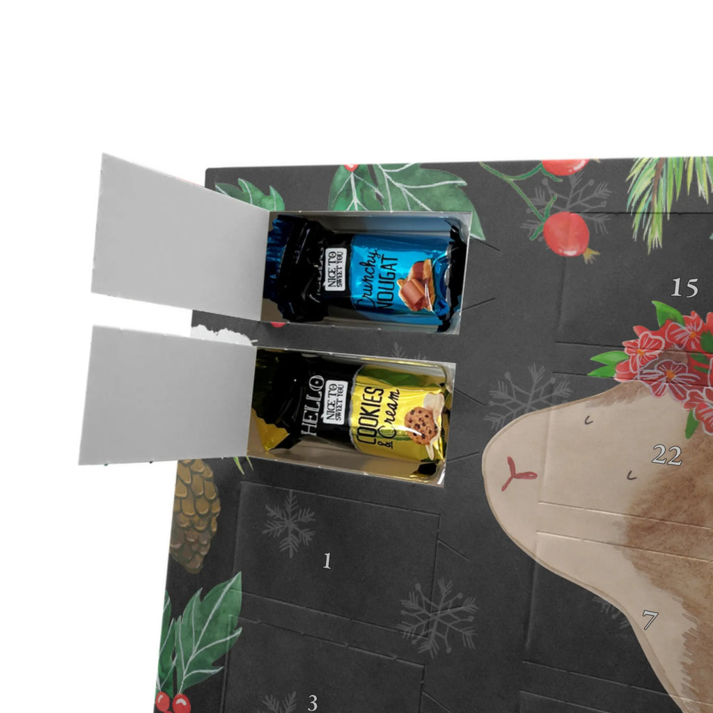 Chocolate advent calendar Guinea pig wisdom gift ideas, gifts, small animals, good mood, cute, funny sayings, cute animal motives, hand drawn, special gifts, card, animal lover, wonderland, flower child, reality, guinea pig, wonder, wisdom, saying