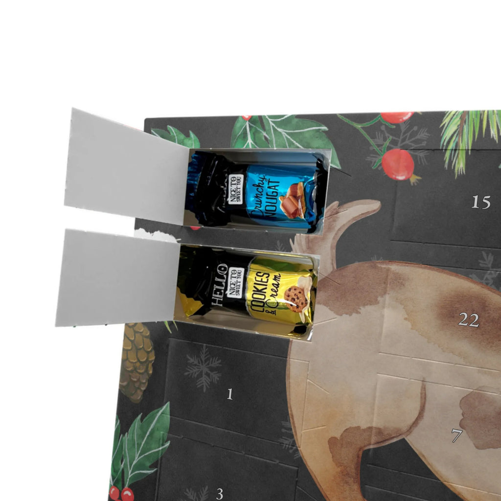 Chocolate advent calendar Dog ladybug mutt, dog sayings, love dogs, dog mama, funny gifts for dog owners, woof, what do you give a dog lover, dog breed, Christmas gifts for dogs, gifts for dogs, bag with dog print, love for dogs, hound, dog decorative items, Mongrel dog, Dog slogan, Ladybird, Sayings, Mongrel, Dogs