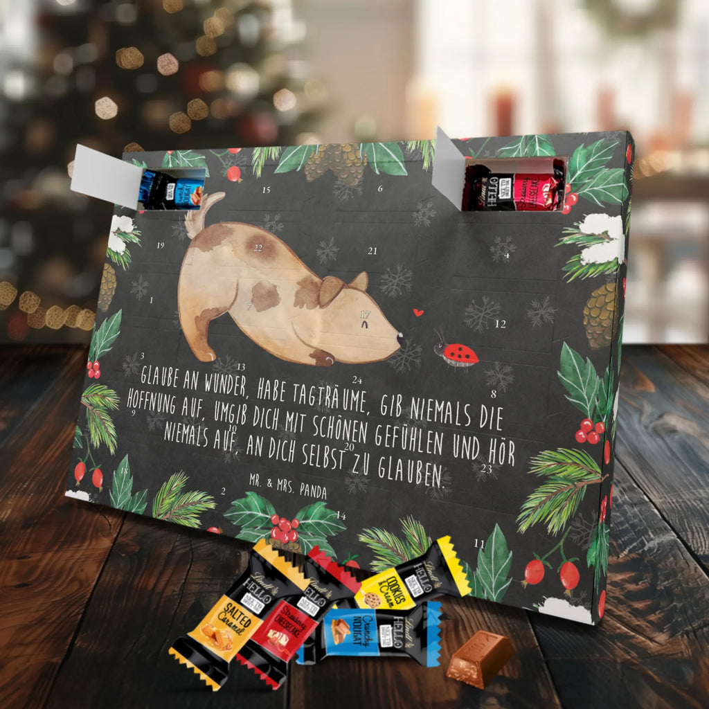 Chocolate advent calendar Dog ladybug mutt, dog sayings, love dogs, dog mama, funny gifts for dog owners, woof, what do you give a dog lover, dog breed, Christmas gifts for dogs, gifts for dogs, bag with dog print, love for dogs, hound, dog decorative items, Mongrel dog, Dog slogan, Ladybird, Sayings, Mongrel, Dogs