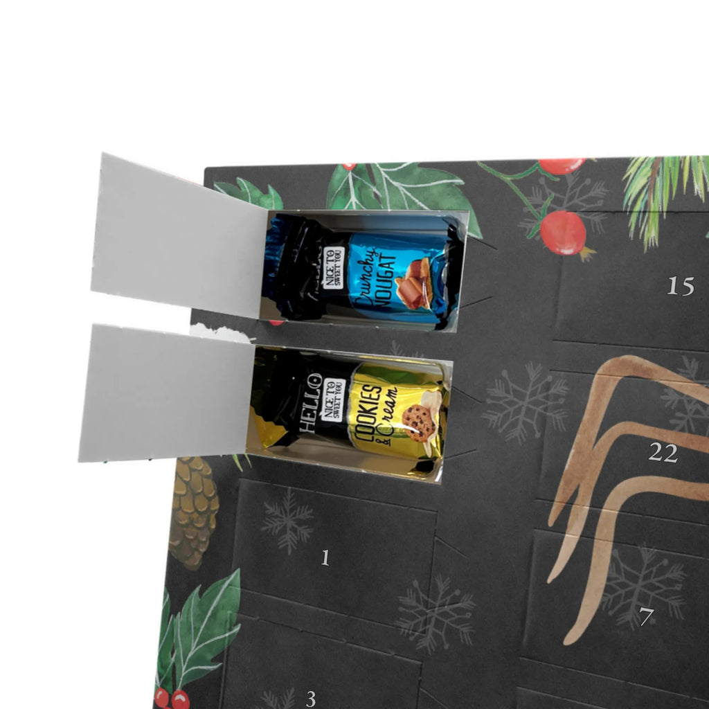 Chocolate advent calendar Spider Agathe coffee Spider, Spider Agathe