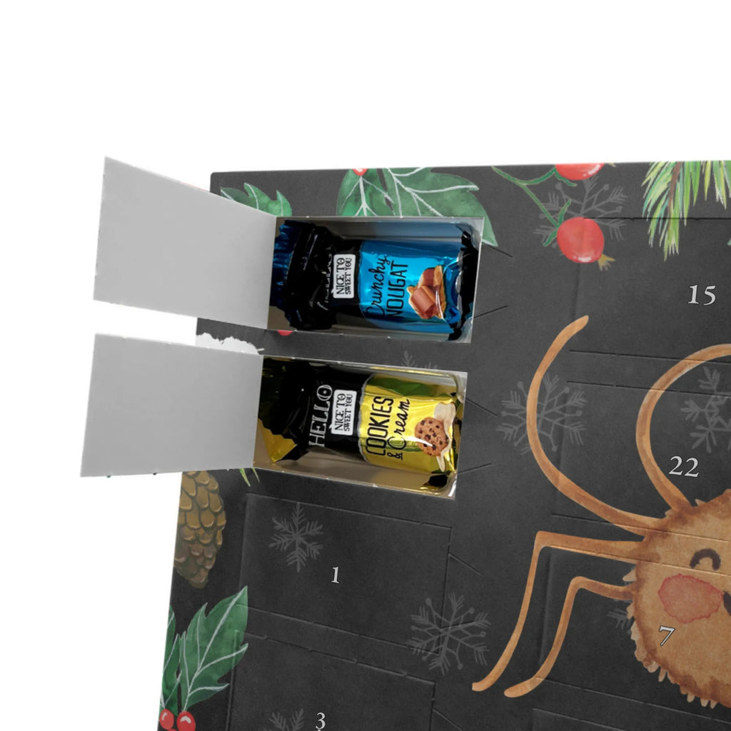 Chocolate advent calendar Spider Agatha Motivation Spider, Spider Agathe