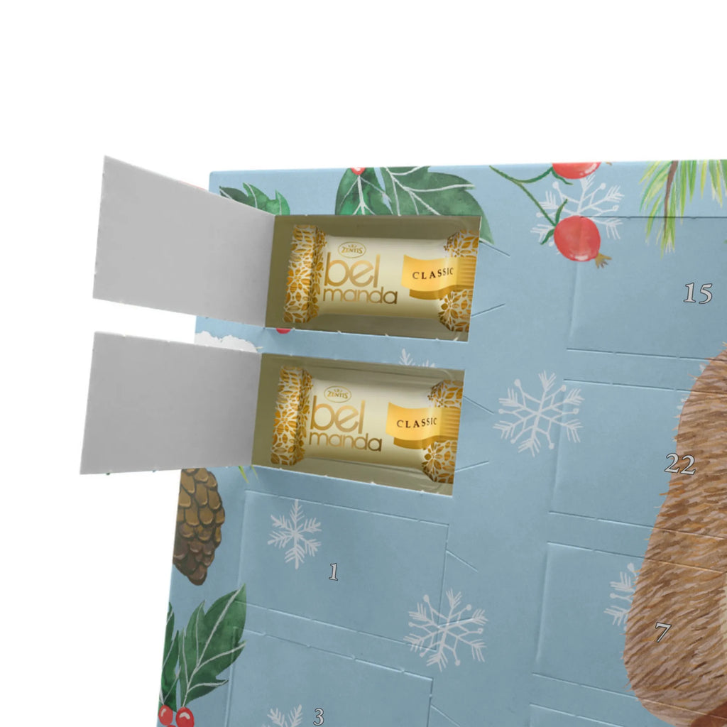 Marzipan Adventskalender Igel Grillen Marzipan Adventskalender, Tiermotive, Gute Laune, lustige Sprüche, Tiere, Grillen, Motivation, Igel, arbeitslos, Spruch, Sinn des Lebens, Ziele