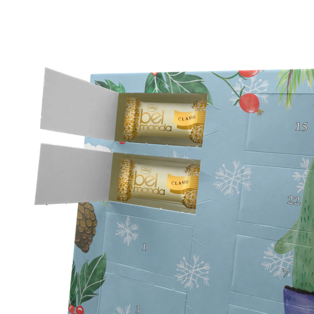 Marzipan Adventskalender Kaktus Liebe Marzipan Adventskalender, Kaktus, Kakteen, Trennung, Pärchen, Paar, Liebesnachricht, Hochzeit, Kaktusliebe, Freundschaft, Love, Streit, Liebesbotschaft, Liebe, Liebesbeweis, Versöhnung, Verlobung