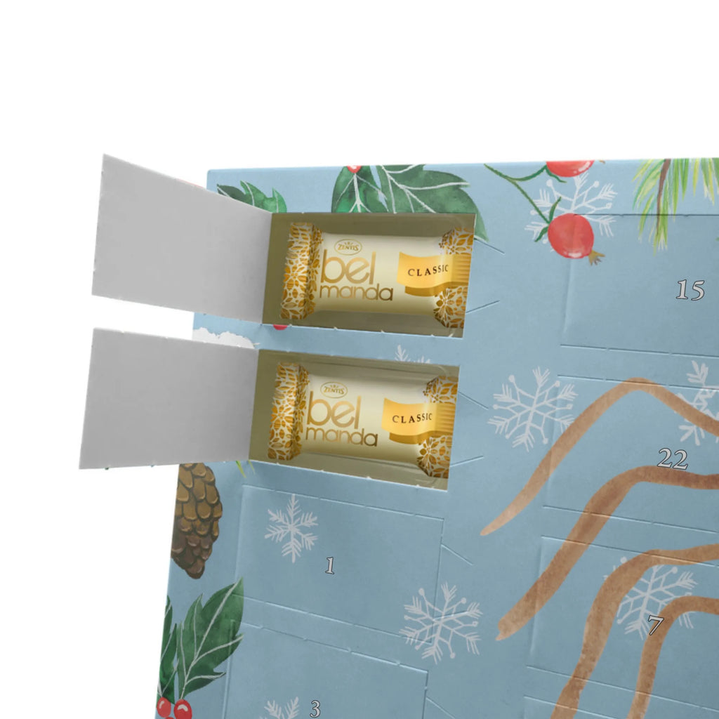 Marzipan Adventskalender Spinne Agathe Freude Marzipan Adventskalender, Spinne Agathe, Spinne, Agathe, Videos, Merchandise, Trend, Viraler Hit, Viral, Beliebte Spinne