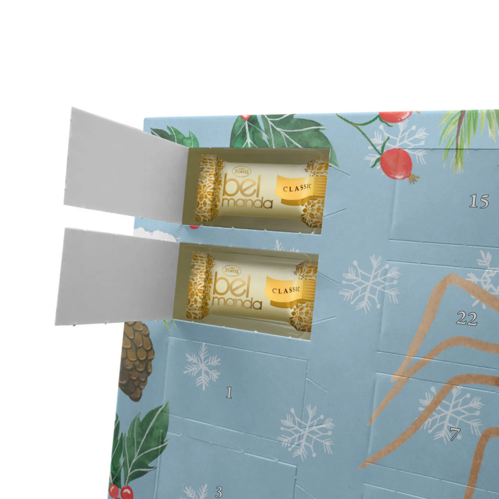 Marzipan Adventskalender Spinne Agathe Party Marzipan Adventskalender, Spinne Agathe, Spinne, Agathe, Videos, Merchandise, Wunder, Motivation, Glück, Selbstliebe