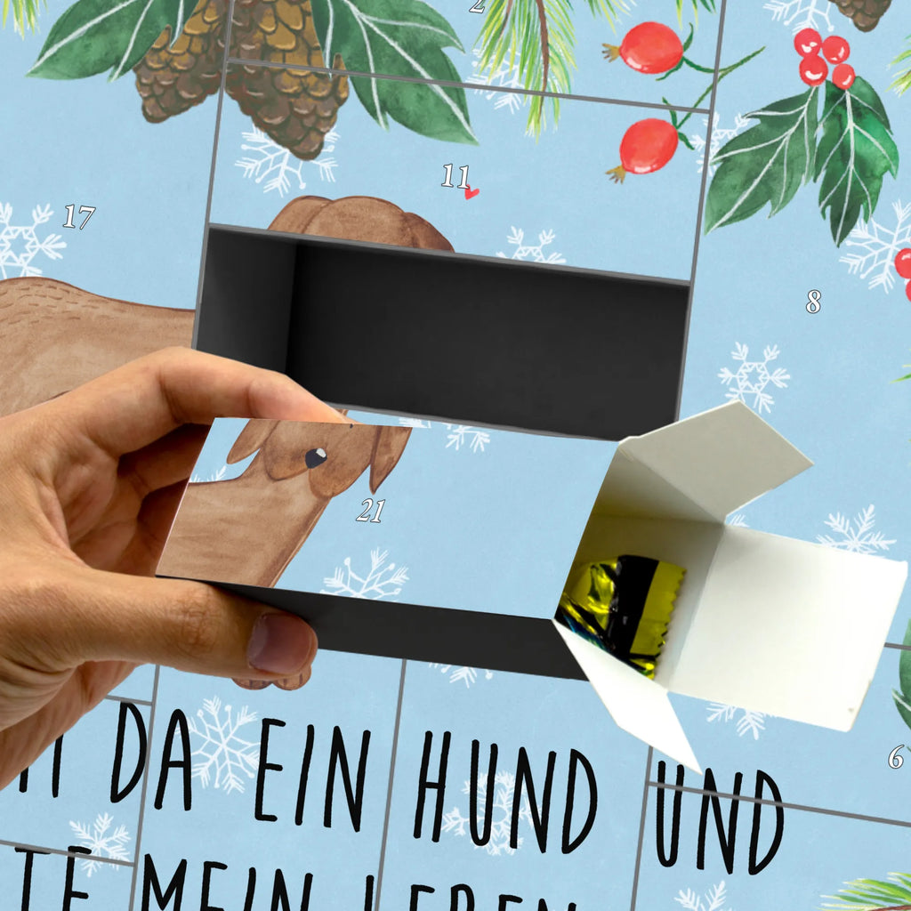  pies Dog niemiecki Pies, właściciel psa, rasa psa, miłośnik zwierząt, zwierzę domowe, motyw psa, powiedzenia