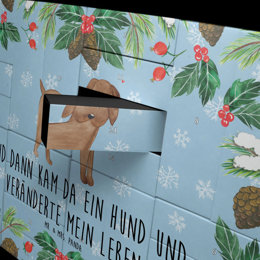  pies Dog niemiecki Pies, właściciel psa, rasa psa, miłośnik zwierząt, zwierzę domowe, motyw psa, powiedzenia