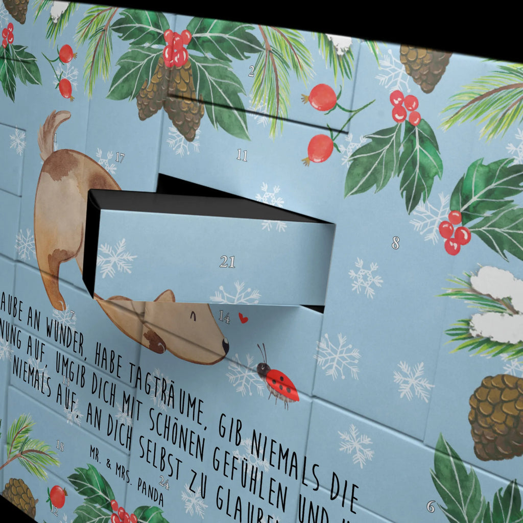  pies biedronka Pies, właściciel psa, rasa psa, miłośnik zwierząt, zwierzę domowe, motyw psa, powiedzenia