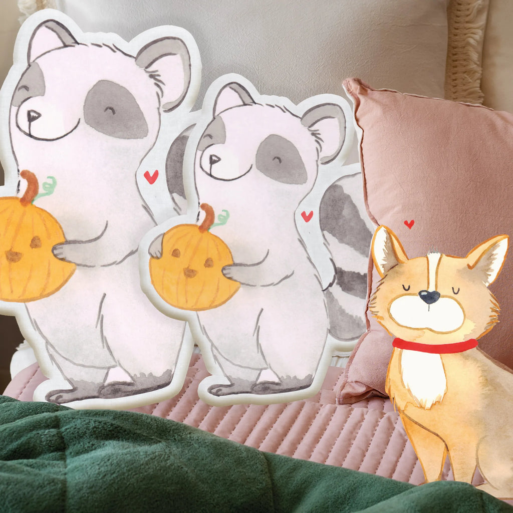 Animal Pillow Raccoon Pumpkin Halloween, decoration, Martin singing, decor, gifts, giving