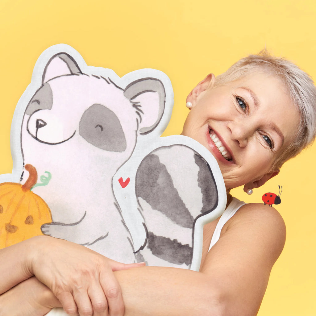 Animal Pillow Raccoon Pumpkin Halloween, decoration, Martin singing, decor, gifts, giving