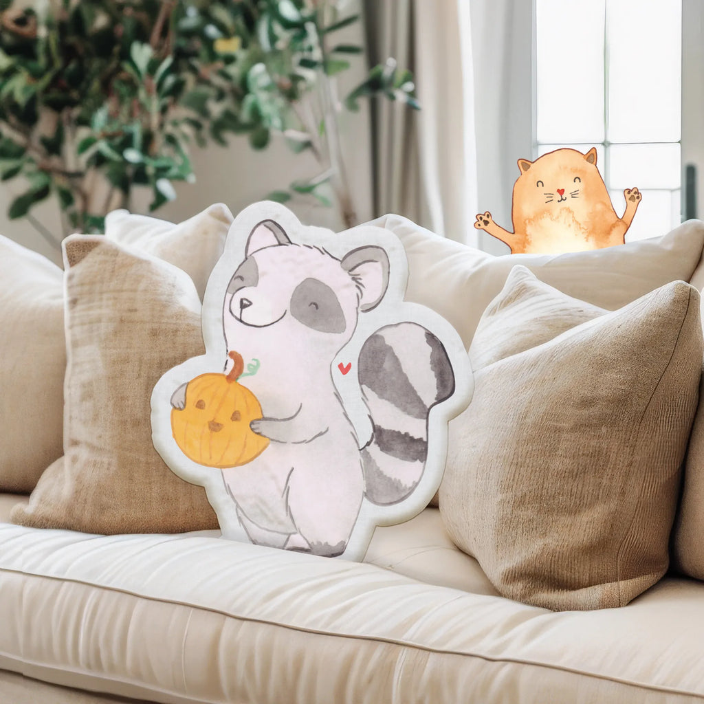 Animal Pillow Raccoon Pumpkin Halloween, decoration, Martin singing, decor, gifts, giving