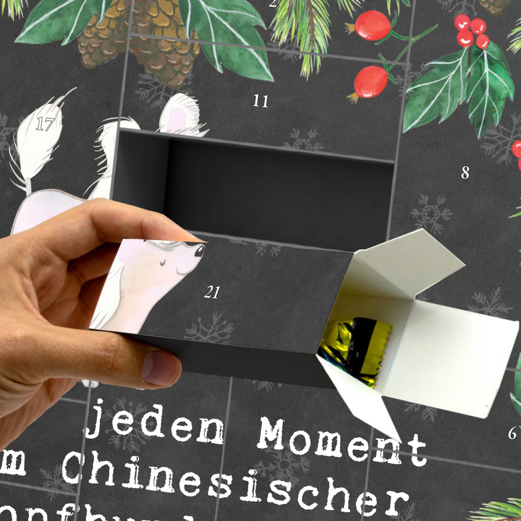 Fillable advent calendar Chinese Crested Dog Moment Adventskalender Schachtel, Adventskalender Box, Befüllbarer Adventskalender, Geschenke Adventskalender, Adventskalender leer, Adventskalender Zum Befüllen, Adventskalender, Adventskalender für Erwachsene, Adventskalender Zum Aufstellen, Adventskalender mit 24 Schachteln, Erwachsenen Adventskalender, Weihnachtskalender Schachteln, Bastel Adventskalender, Adventskalender Zum Füllen, Weihnachtskalender Selbst Befüllen, Adventskalender Karton, Adventskalender ohne Inhalt, Kalender Zum Befüllen, Schachtel Adventskalender, Adventskalender Deko, Geschenkekalender, Adventskalender Zum Selbst Befüllen, Weihnachtskalender Boxen, Diy Adventskalender, Adventskalender Schachteln, Adventskalender Selbst Befüllen, Adventskalender 24 Boxen, Weihnachtskalender Zum Befüllen, Tisch Adventskalender, Weihnachtskalender, Karton Adventskalender, Leerer Adventskalender, Adventskalender Boxen, Geschenk, Schenken, Hund, Hunderasse, Rassehund, Hundebesitzer, Tierfreund, Welpe, Chinese Crested Dog, Chinesischer Schopfhund
