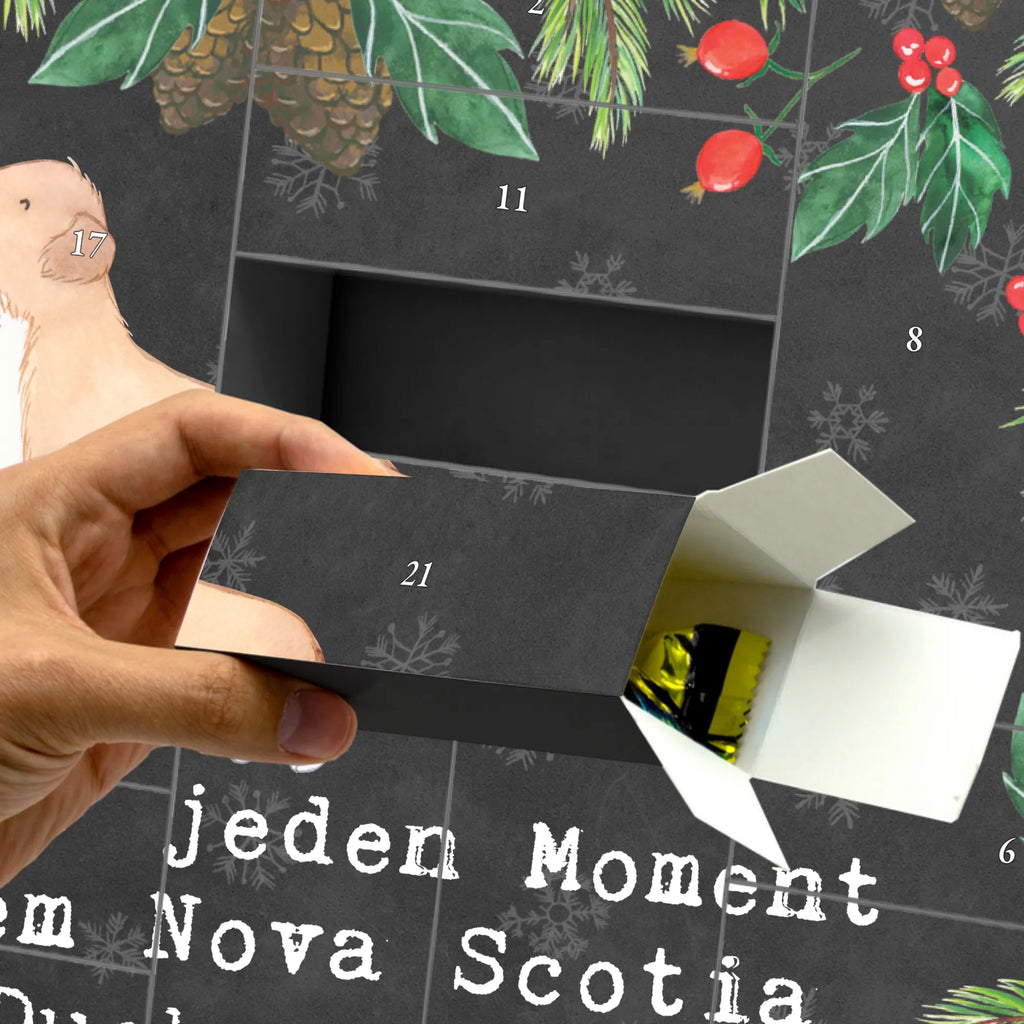 Befüllbarer Adventskalender Nova Scotia Duck Moment Weihnachtskalender Zum Befüllen, Adventskalender Zum Selbst Befüllen, Geschenkekalender, Adventskalender mit 24 Schachteln, Befüllbarer Adventskalender, Adventskalender Schachteln, Adventskalender Zum Aufstellen, Adventskalender ohne Inhalt, Adventskalender Box, Tisch Adventskalender, Bastel Adventskalender, Adventskalender Boxen, Karton Adventskalender, Erwachsenen Adventskalender, Adventskalender Deko, Geschenke Adventskalender, Adventskalender Karton, Adventskalender, Weihnachtskalender Boxen, Kalender Zum Befüllen, Weihnachtskalender Schachteln, Leerer Adventskalender, Adventskalender Schachtel, Adventskalender leer, Weihnachtskalender, Diy Adventskalender, Adventskalender Zum Befüllen, Adventskalender 24 Boxen, Adventskalender für Erwachsene, Adventskalender Selbst Befüllen, Adventskalender Zum Füllen, Schachtel Adventskalender, Weihnachtskalender Selbst Befüllen, Geschenk, Schenken, Hund, Hunderasse, Rassehund, Hundebesitzer, Tierfreund, Welpe, Nova Scotia Duck Tolling Retriever, Retriever