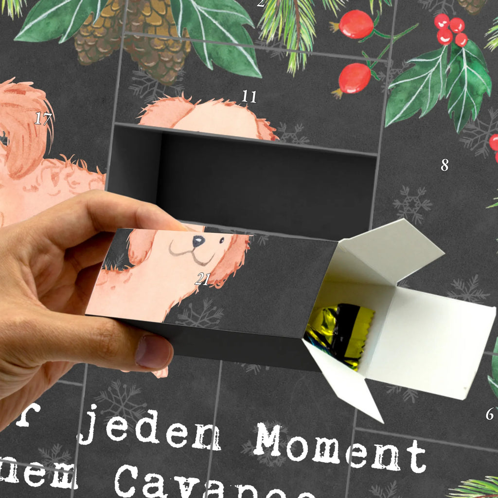  Cavapoo chwila Adventskalender Zum Befüllen, Adventskalender Deko, Kalender Zum Befüllen, Adventskalender 24 Boxen, Weihnachtskalender Zum Befüllen, Bastel Adventskalender, Tisch Adventskalender, Adventskalender Zum Selbst Befüllen, Adventskalender Selbst Befüllen, Erwachsenen Adventskalender, Adventskalender Boxen, Adventskalender leer, Adventskalender ohne Inhalt, Adventskalender Karton, Adventskalender Box, Adventskalender mit 24 Schachteln, Adventskalender Zum Aufstellen, Adventskalender Schachteln, Leerer Adventskalender, Weihnachtskalender Selbst Befüllen, Adventskalender, Geschenke Adventskalender, Adventskalender für Erwachsene, Karton Adventskalender, Geschenkekalender, Diy Adventskalender, Adventskalender Zum Füllen, Weihnachtskalender, Schachtel Adventskalender, Weihnachtskalender Schachteln, Befüllbarer Adventskalender, Adventskalender Schachtel, Weihnachtskalender Boxen, Geschenk, Schenken, Hund, Hunderasse, Rassehund, Hundebesitzer, Tierfreund, Welpe, Cavapoo, Cavoodle
