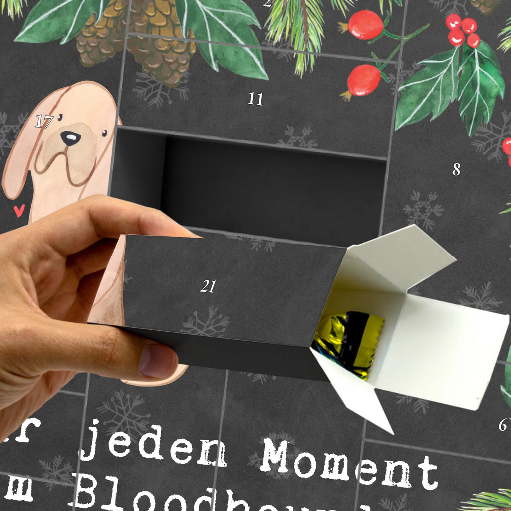 Fillable advent calendar Bloodhound moment Adventskalender Selbst Befüllen, Adventskalender Zum Selbst Befüllen, Adventskalender leer, Weihnachtskalender, Adventskalender mit 24 Schachteln, Geschenke Adventskalender, Bastel Adventskalender, Befüllbarer Adventskalender, Weihnachtskalender Schachteln, Adventskalender für Erwachsene, Tisch Adventskalender, Adventskalender Karton, Adventskalender Schachtel, Adventskalender, Schachtel Adventskalender, Weihnachtskalender Zum Befüllen, Adventskalender Zum Füllen, Erwachsenen Adventskalender, Karton Adventskalender, Adventskalender Schachteln, Adventskalender Zum Aufstellen, Weihnachtskalender Selbst Befüllen, Adventskalender 24 Boxen, Weihnachtskalender Boxen, Adventskalender Boxen, Diy Adventskalender, Adventskalender ohne Inhalt, Leerer Adventskalender, Adventskalender Box, Adventskalender Zum Befüllen, Adventskalender Deko, Kalender Zum Befüllen, Geschenkekalender, Geschenk, Schenken, Hund, Hunderasse, Rassehund, Hundebesitzer, Tierfreund, Welpe, St. Hubertushund, Bluthund, Bloodhound, Chien De Saint Hubert