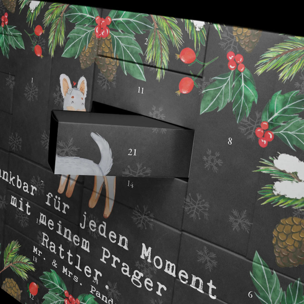 Fillable advent calendar Prague Rattler moment Advent calendar men, self filling, Advent calendar women, Advent calendar 2020, Advent calendar, Dog, dog breed, purebred dog, dog owner, gift, animal lover, giving, puppy