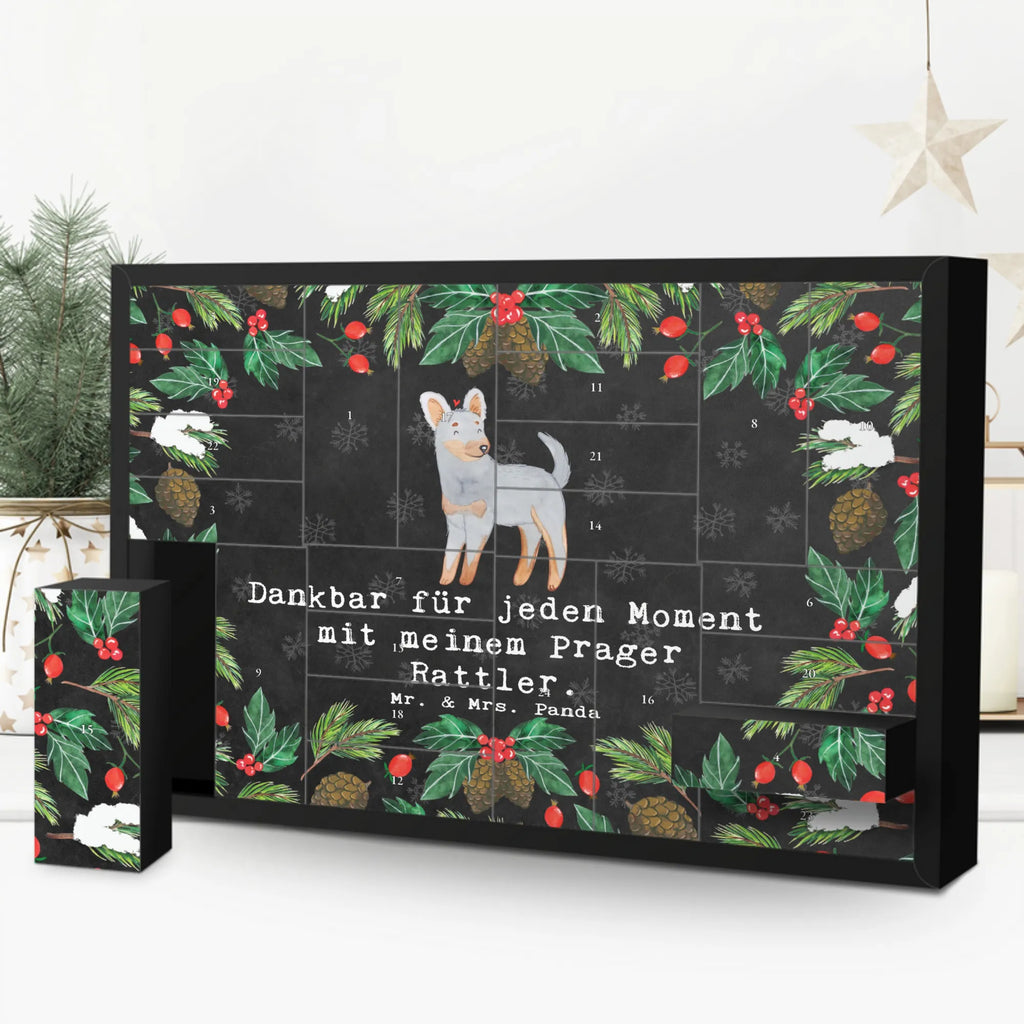 Fillable advent calendar Prague Rattler moment Advent calendar men, self filling, Advent calendar women, Advent calendar 2020, Advent calendar, Dog, dog breed, purebred dog, dog owner, gift, animal lover, giving, puppy