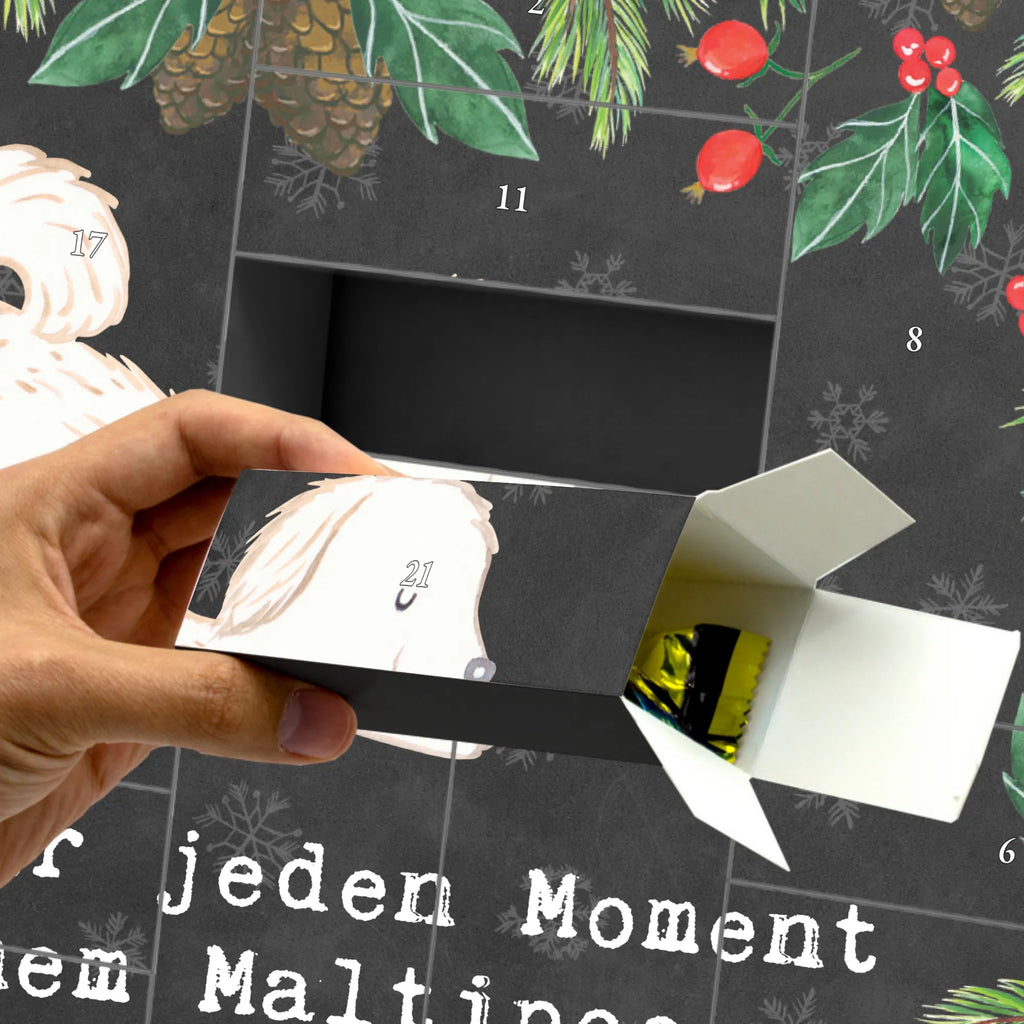 Fillable advent calendar Maltipoo Moment Weihnachtskalender Zum Befüllen, Geschenke Adventskalender, Geschenkekalender, Adventskalender Schachtel, Adventskalender Box, Leerer Adventskalender, Weihnachtskalender Schachteln, Adventskalender Karton, Adventskalender Selbst Befüllen, Weihnachtskalender, Tisch Adventskalender, Adventskalender 24 Boxen, Adventskalender Zum Befüllen, Adventskalender ohne Inhalt, Adventskalender Zum Selbst Befüllen, Diy Adventskalender, Adventskalender Schachteln, Adventskalender Zum Füllen, Adventskalender für Erwachsene, Adventskalender Boxen, Schachtel Adventskalender, Adventskalender Deko, Befüllbarer Adventskalender, Kalender Zum Befüllen, Karton Adventskalender, Bastel Adventskalender, Adventskalender Zum Aufstellen, Weihnachtskalender Boxen, Adventskalender leer, Erwachsenen Adventskalender, Weihnachtskalender Selbst Befüllen, Adventskalender mit 24 Schachteln, Adventskalender, Geschenk, Schenken, Hund, Hunderasse, Rassehund, Hundebesitzer, Tierfreund, Welpe, Maltipoo, Kreuzung, Mischling