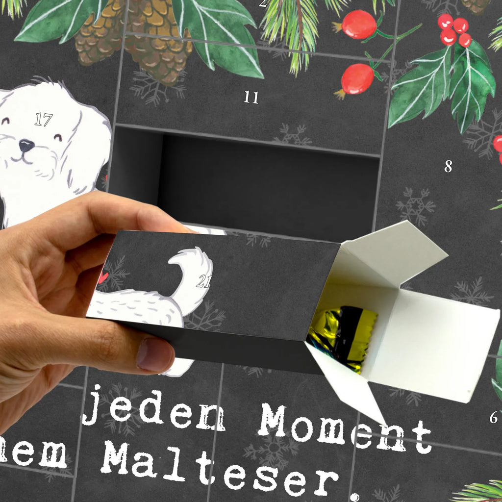 Fillable advent calendar Maltese Moment Advent calendar 2020, self filling, Advent calendar women, Advent calendar men, Advent calendar, Dog, dog breed, purebred dog, dog owner, gift, animal lover, giving, puppy