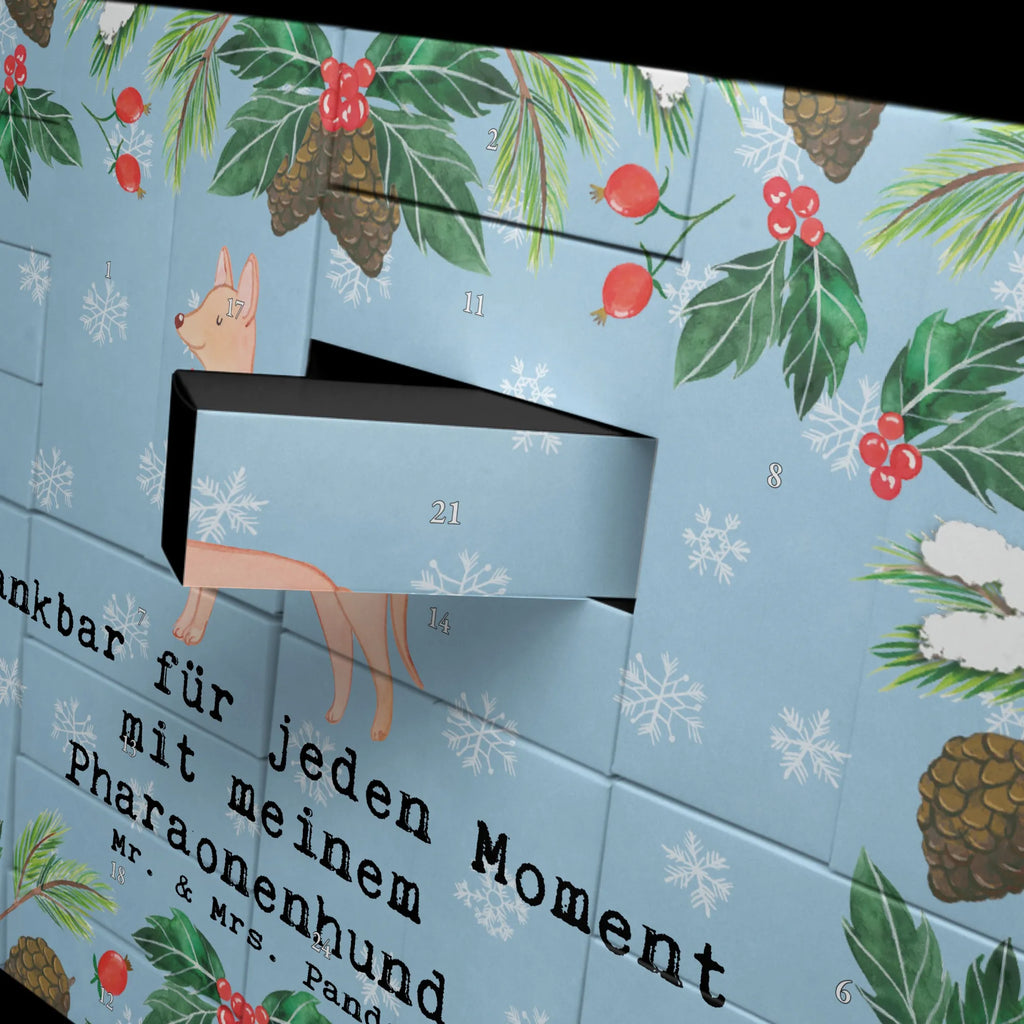 Fillable advent calendar Pharaoh Hound Moment Adventskalender Selbst Befüllen, Weihnachtskalender Selbst Befüllen, Geschenke Adventskalender, Weihnachtskalender Boxen, Weihnachtskalender Zum Befüllen, Weihnachtskalender, Erwachsenen Adventskalender, Befüllbarer Adventskalender, Adventskalender, Adventskalender Zum Selbst Befüllen, Adventskalender mit 24 Schachteln, Adventskalender ohne Inhalt, Adventskalender Zum Befüllen, Adventskalender Karton, Adventskalender Zum Aufstellen, Weihnachtskalender Schachteln, Adventskalender für Erwachsene, Tisch Adventskalender, Adventskalender Schachteln, Adventskalender Box, Adventskalender Boxen, Bastel Adventskalender, Diy Adventskalender, Leerer Adventskalender, Karton Adventskalender, Adventskalender 24 Boxen, Adventskalender Schachtel, Geschenkekalender, Schachtel Adventskalender, Adventskalender Deko, Kalender Zum Befüllen, Adventskalender Zum Füllen, Adventskalender leer, Geschenk, Schenken, Hund, Hunderasse, Rassehund, Hundebesitzer, Tierfreund, Welpe, Kelb Tal-Fenek, Pharaoh Hound, Pharaonenhund