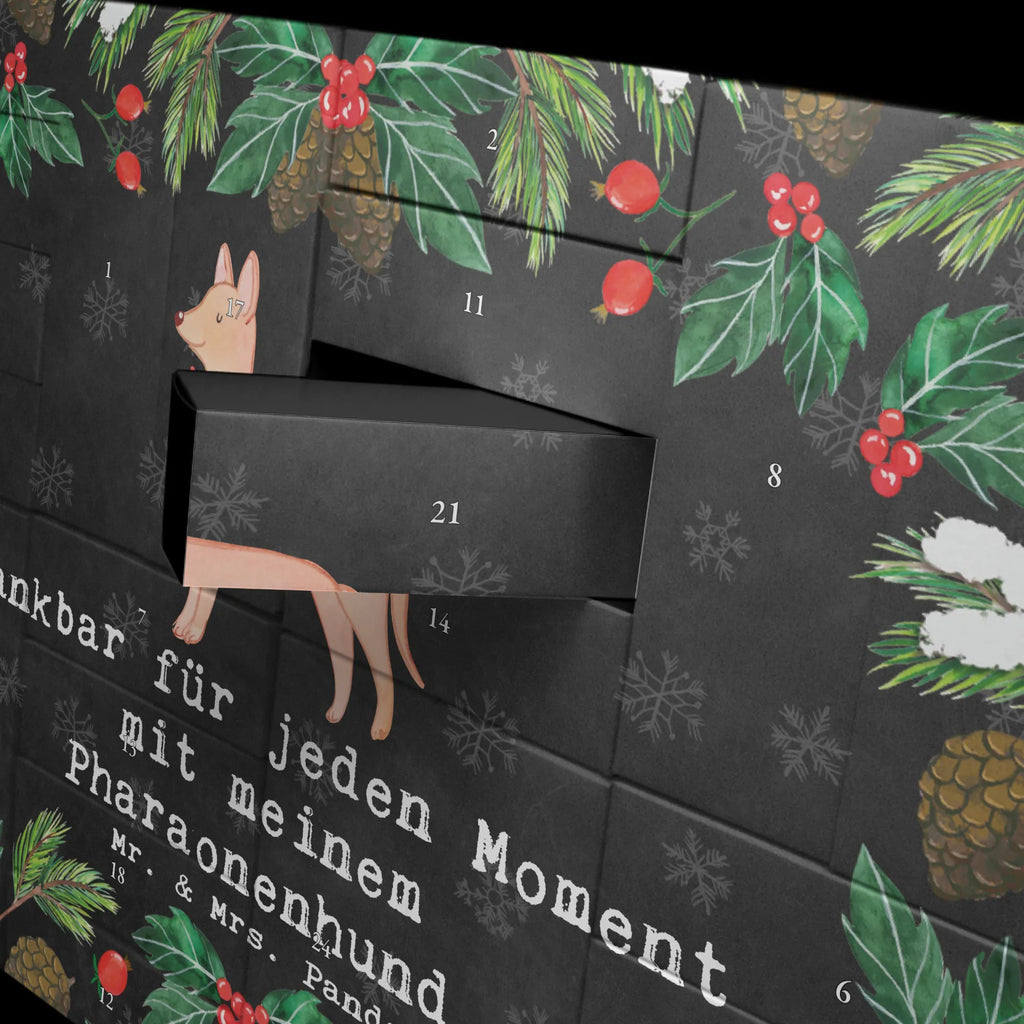 Fillable advent calendar Pharaoh Hound Moment Adventskalender Selbst Befüllen, Weihnachtskalender Selbst Befüllen, Geschenke Adventskalender, Weihnachtskalender Boxen, Weihnachtskalender Zum Befüllen, Weihnachtskalender, Erwachsenen Adventskalender, Befüllbarer Adventskalender, Adventskalender, Adventskalender Zum Selbst Befüllen, Adventskalender mit 24 Schachteln, Adventskalender ohne Inhalt, Adventskalender Zum Befüllen, Adventskalender Karton, Adventskalender Zum Aufstellen, Weihnachtskalender Schachteln, Adventskalender für Erwachsene, Tisch Adventskalender, Adventskalender Schachteln, Adventskalender Box, Adventskalender Boxen, Bastel Adventskalender, Diy Adventskalender, Leerer Adventskalender, Karton Adventskalender, Adventskalender 24 Boxen, Adventskalender Schachtel, Geschenkekalender, Schachtel Adventskalender, Adventskalender Deko, Kalender Zum Befüllen, Adventskalender Zum Füllen, Adventskalender leer, Geschenk, Schenken, Hund, Hunderasse, Rassehund, Hundebesitzer, Tierfreund, Welpe, Kelb Tal-Fenek, Pharaoh Hound, Pharaonenhund