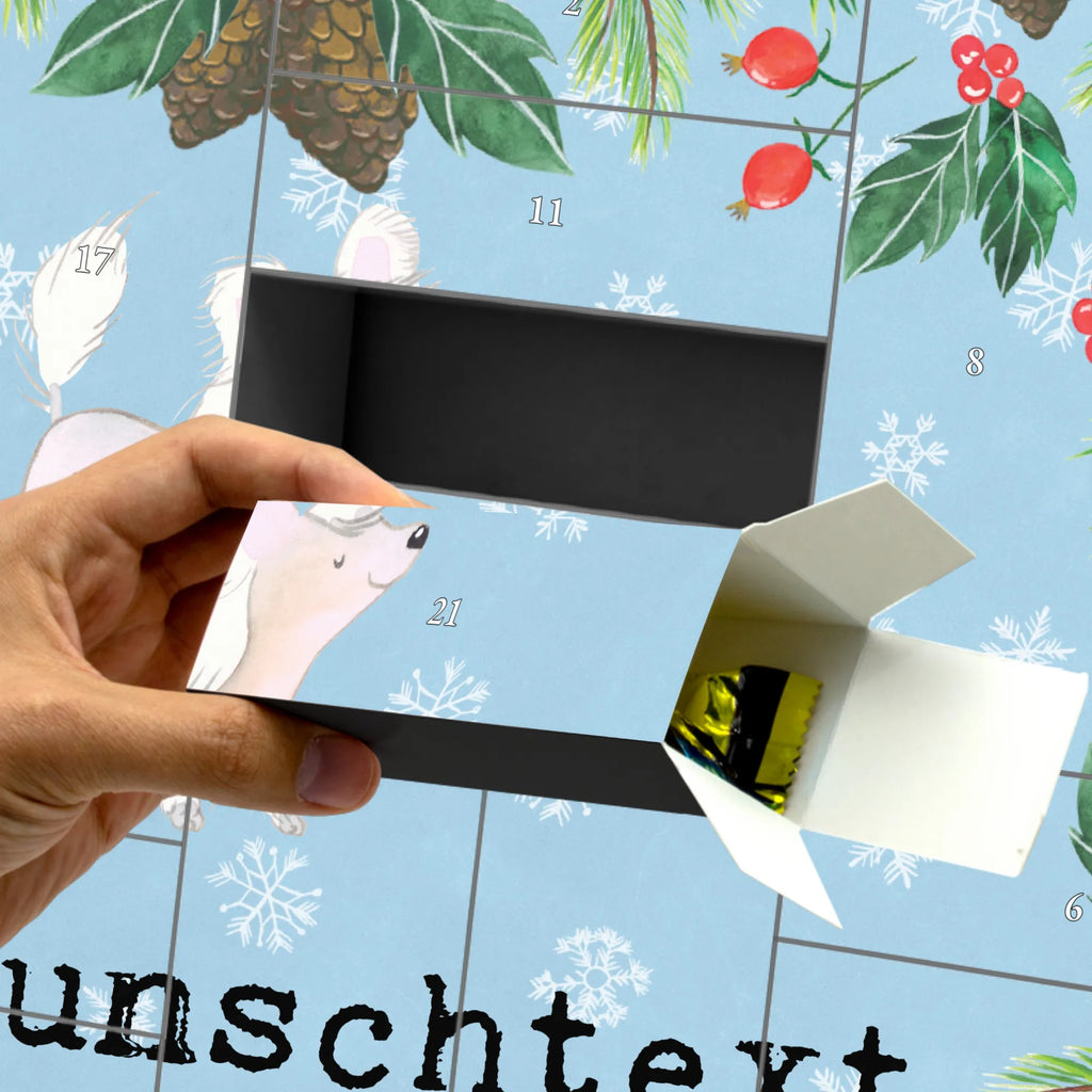  Chinese Crested Dog Moment Adventskalender Zum Selbst Befüllen, Befüllbarer Adventskalender, Geschenk, Schenken, Hund, Hunderasse, Rassehund, Hundebesitzer, Tierfreund, Welpe, Chinese Crested Dog, Chinesischer Schopfhund