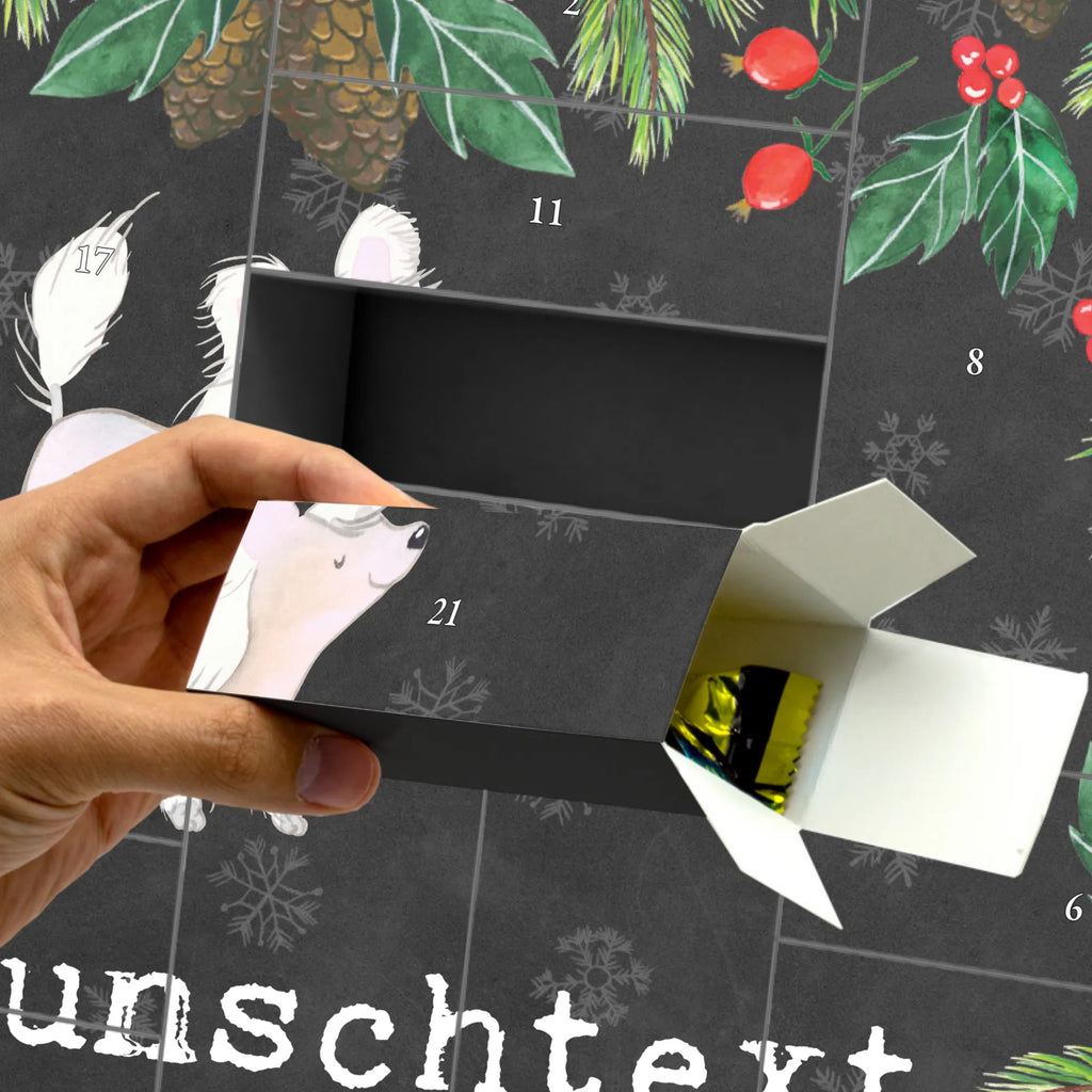 Chinese Crested Dog Moment Adventskalender Zum Selbst Befüllen, Befüllbarer Adventskalender, Geschenk, Schenken, Hund, Hunderasse, Rassehund, Hundebesitzer, Tierfreund, Welpe, Chinese Crested Dog, Chinesischer Schopfhund