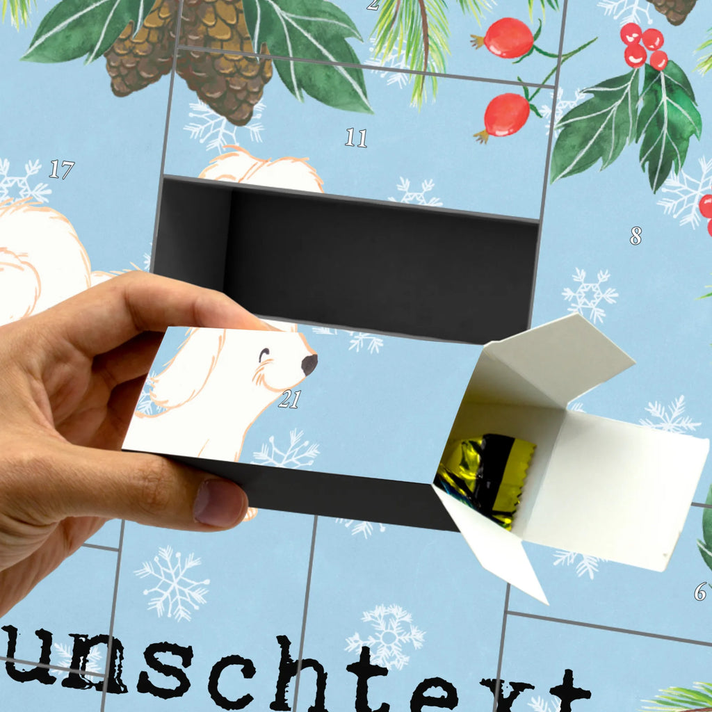  Hawanyzer chwila Pies, rasa psa, pies rasowy, właściciel psa, prezent, miłośnik zwierząt, dawanie, szczeniak