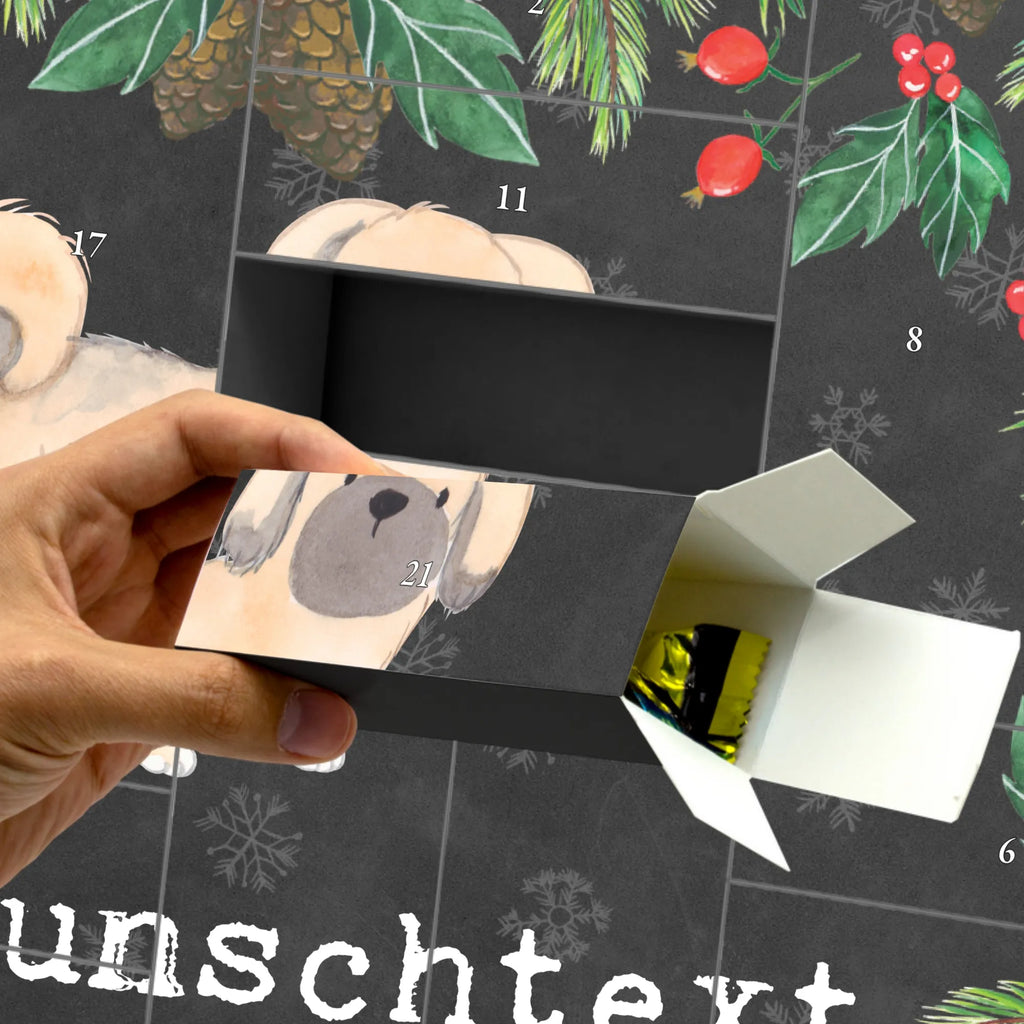  Pekińczyk Moment Pies, rasa psa, pies rasowy, właściciel psa, prezent, miłośnik zwierząt, dawanie, szczeniak