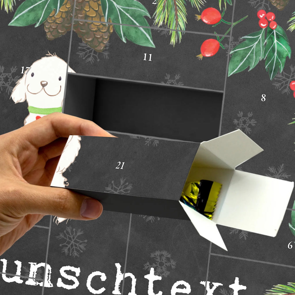  Bolonka Żwetna chwila Pies, rasa psa, pies rasowy, właściciel psa, prezent, miłośnik zwierząt, dawanie, szczeniak