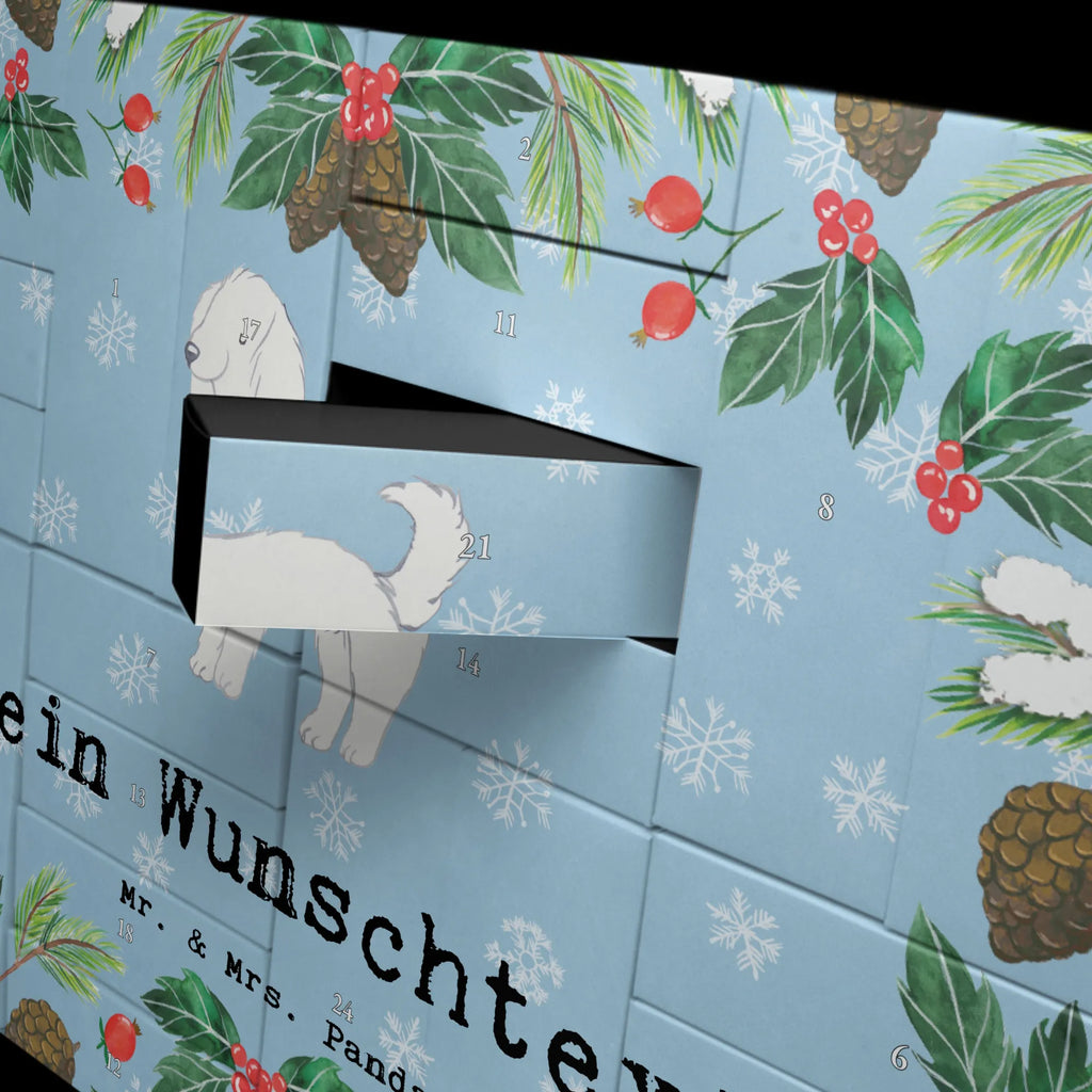  Bolończyk chwila Adventskalender Zum Selbst Befüllen, Befüllbarer Adventskalender, Geschenk, Schenken, Hund, Hunderasse, Rassehund, Hundebesitzer, Tierfreund, Welpe, Bologneser