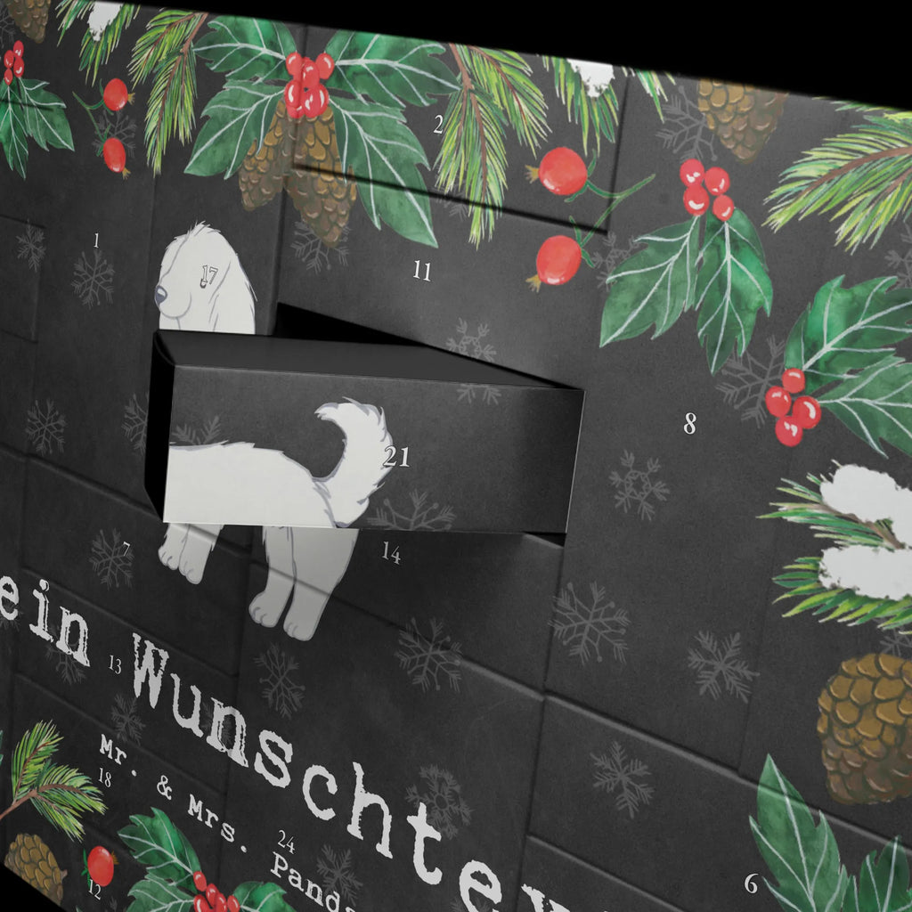  Bolończyk chwila Adventskalender Zum Selbst Befüllen, Befüllbarer Adventskalender, Geschenk, Schenken, Hund, Hunderasse, Rassehund, Hundebesitzer, Tierfreund, Welpe, Bologneser