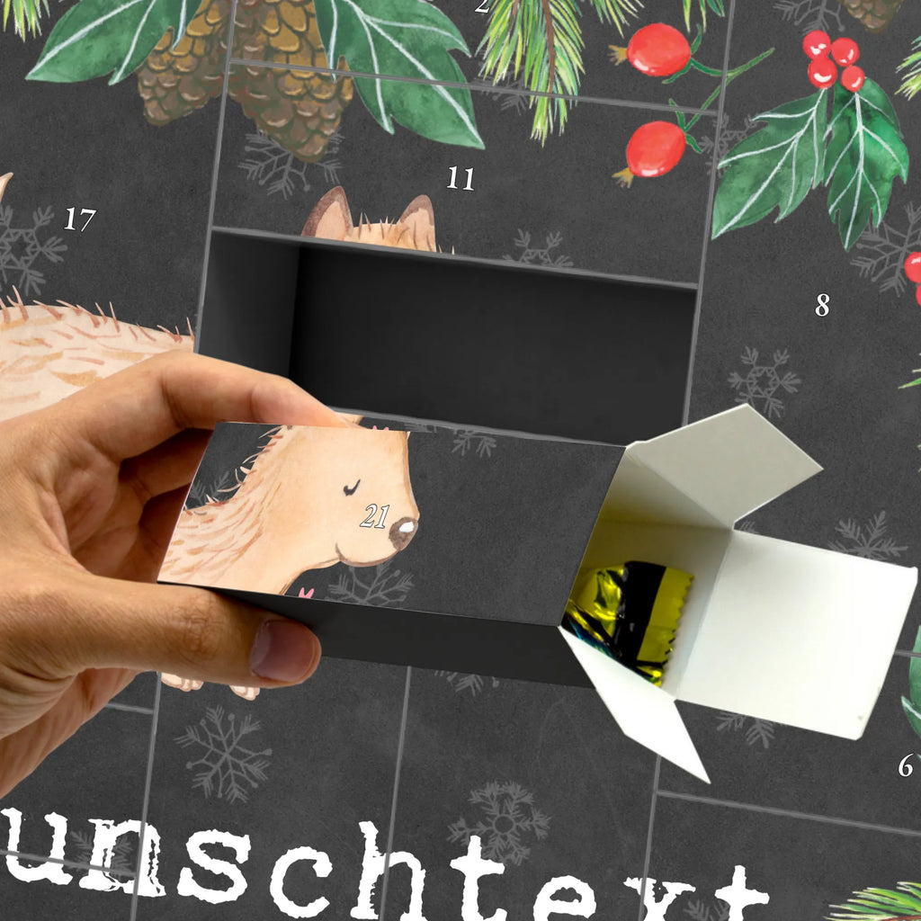  terrier cairnski Chwila Pies, rasa psa, pies rasowy, właściciel psa, prezent, miłośnik zwierząt, dawanie, szczeniak