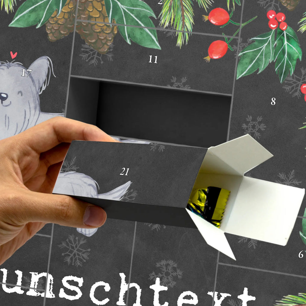 Personalisierter Befüllbarer Adventskalender Skye Terrier Moment Adventskalender Zum Selbst Befüllen, Befüllbarer Adventskalender, Geschenk, Schenken, Hund, Hunderasse, Rassehund, Hundebesitzer, Tierfreund, Welpe, Terrier, Skye Terrier