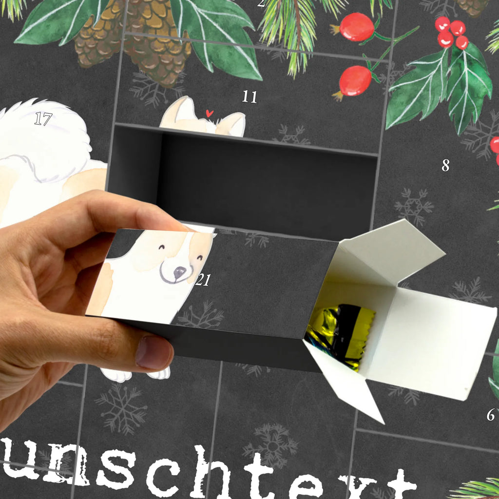  tajski Bangkaew Chwila Pies, rasa psa, pies rasowy, właściciel psa, prezent, miłośnik zwierząt, dawanie, szczeniak