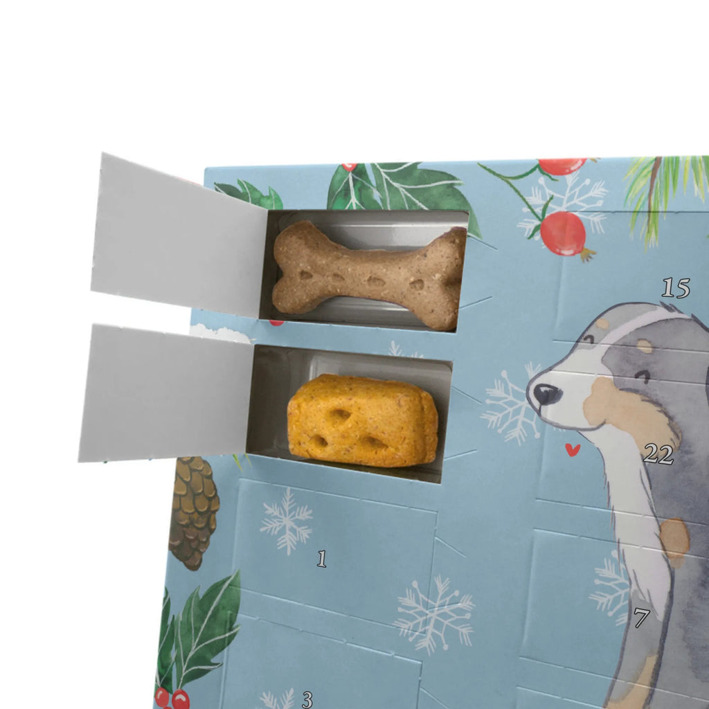 Personalisierter Hunde Adventskalender Berner Sennenhund Moment Hunde Adventskalender, Geschenk, Schenken, Hund, Hunderasse, Rassehund, Hundebesitzer, Tierfreund, Welpe, Dürrbächler, Berner Sennenhund