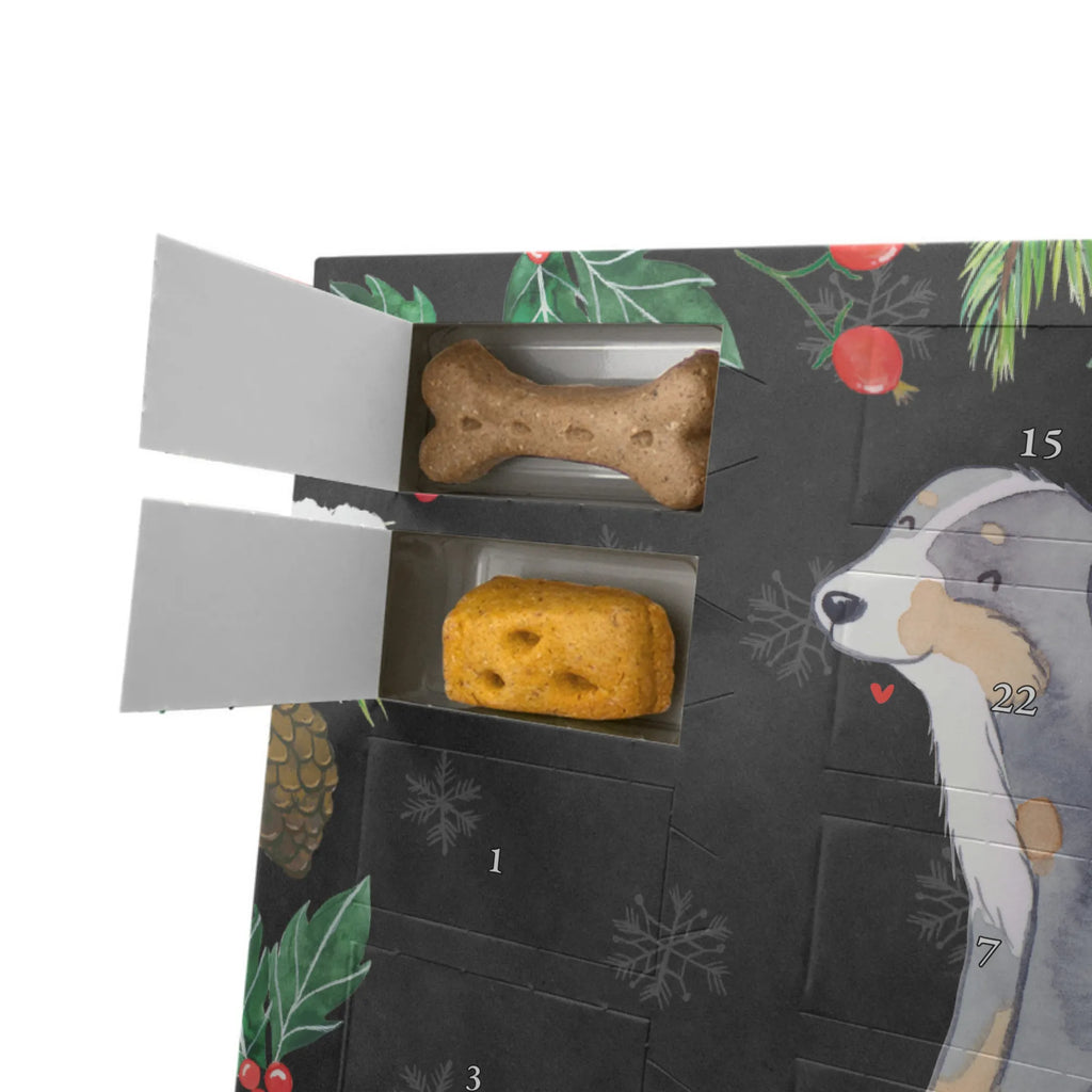 Personalisierter Hunde Adventskalender Berner Sennenhund Moment Hunde Adventskalender, Geschenk, Schenken, Hund, Hunderasse, Rassehund, Hundebesitzer, Tierfreund, Welpe, Dürrbächler, Berner Sennenhund