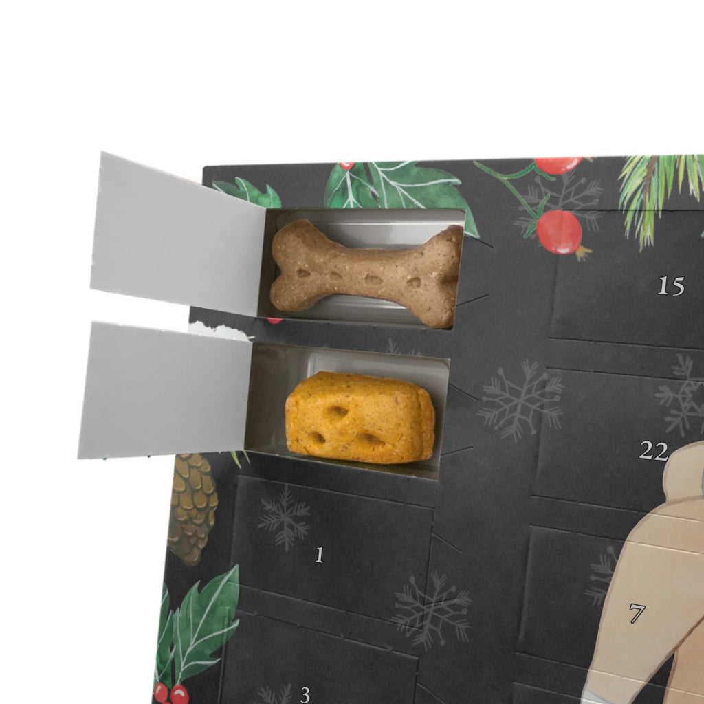  Basenji Chwila Pies, rasa psa, pies rasowy, właściciel psa, prezent, miłośnik zwierząt, dawanie, szczeniak