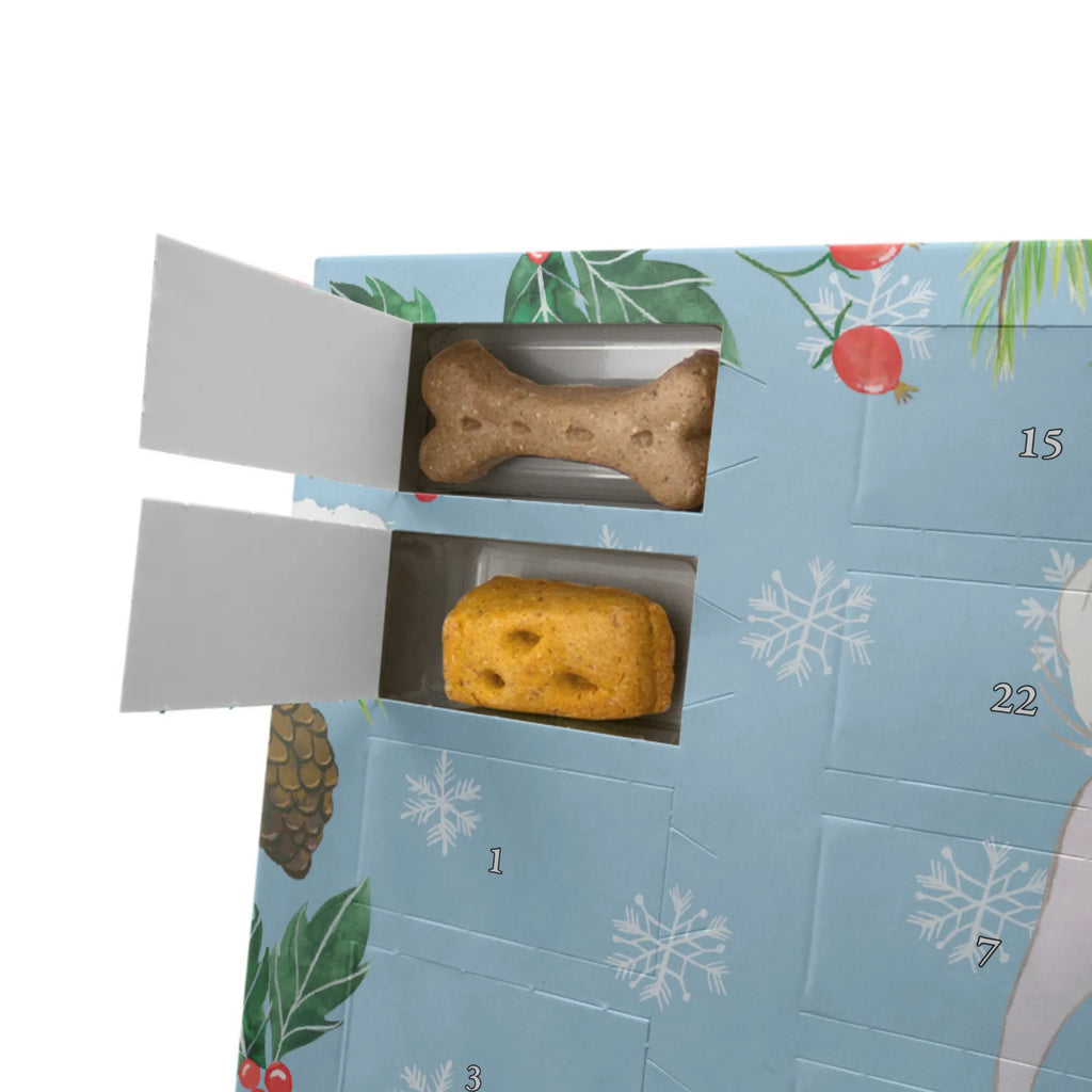 Personalisierter Hunde Adventskalender Chinesischer Schopfhund Moment Hunde Adventskalender, Geschenk, Schenken, Hund, Hunderasse, Rassehund, Hundebesitzer, Tierfreund, Welpe, Chinesischer Schopfhund, Chinese Crested Dog